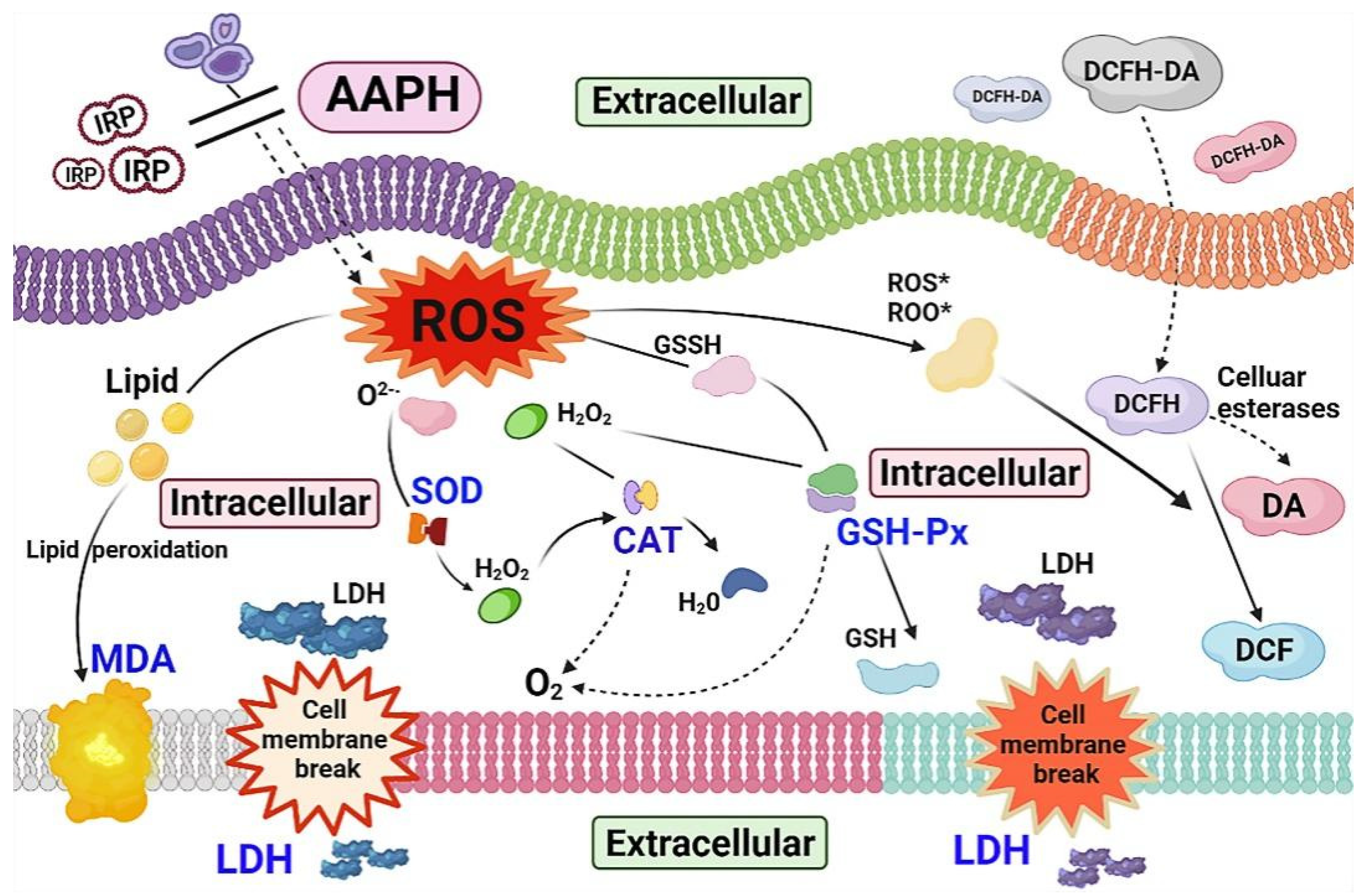Molecules 27 07717 g016