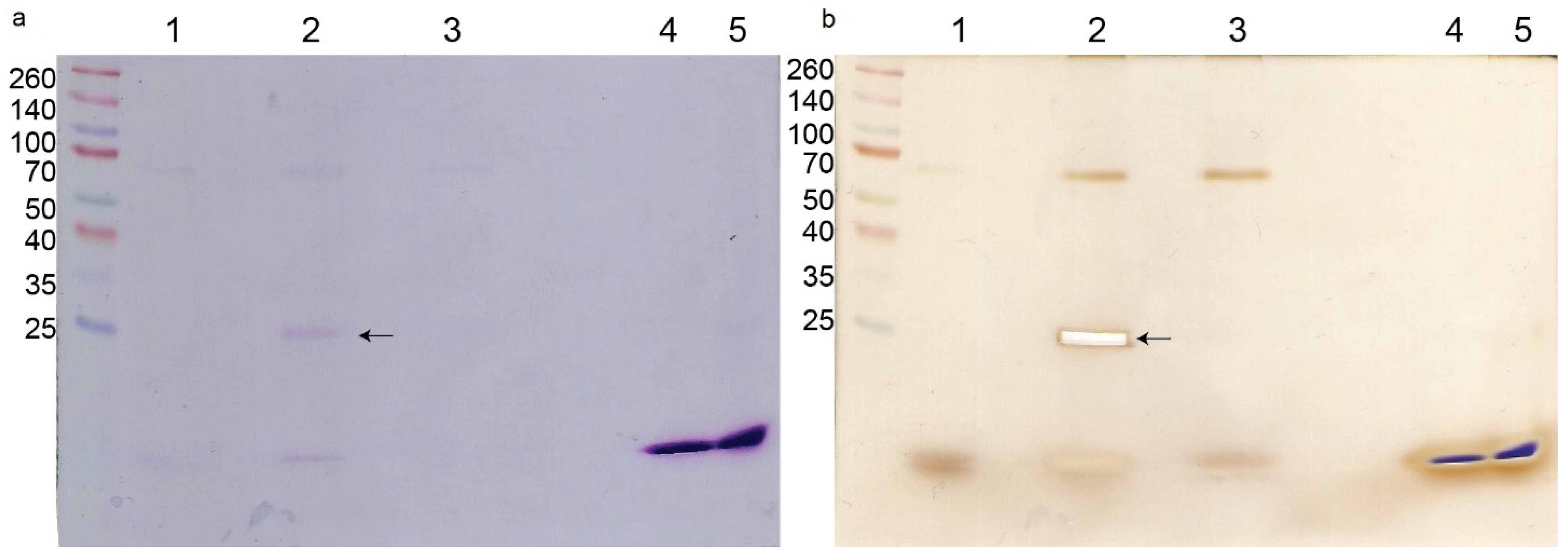 Molecules 27 07726 g003