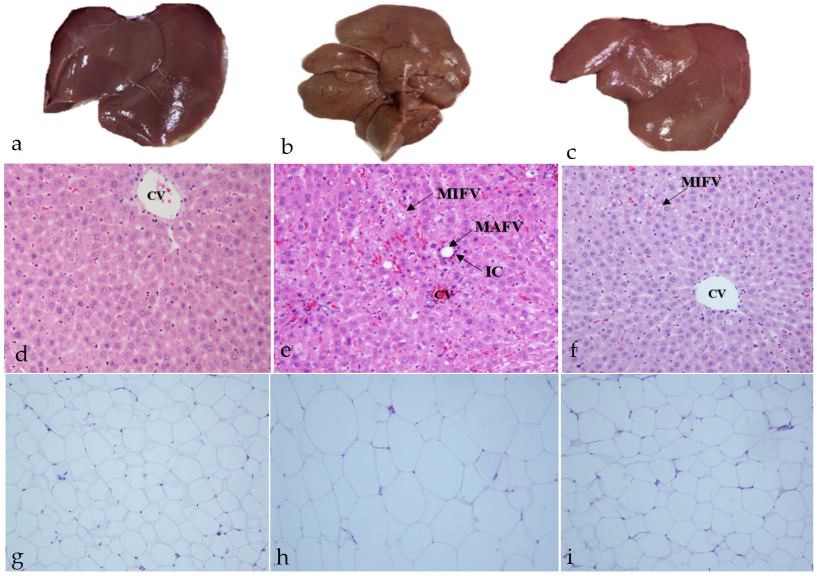 Molecules 27 07736 g005