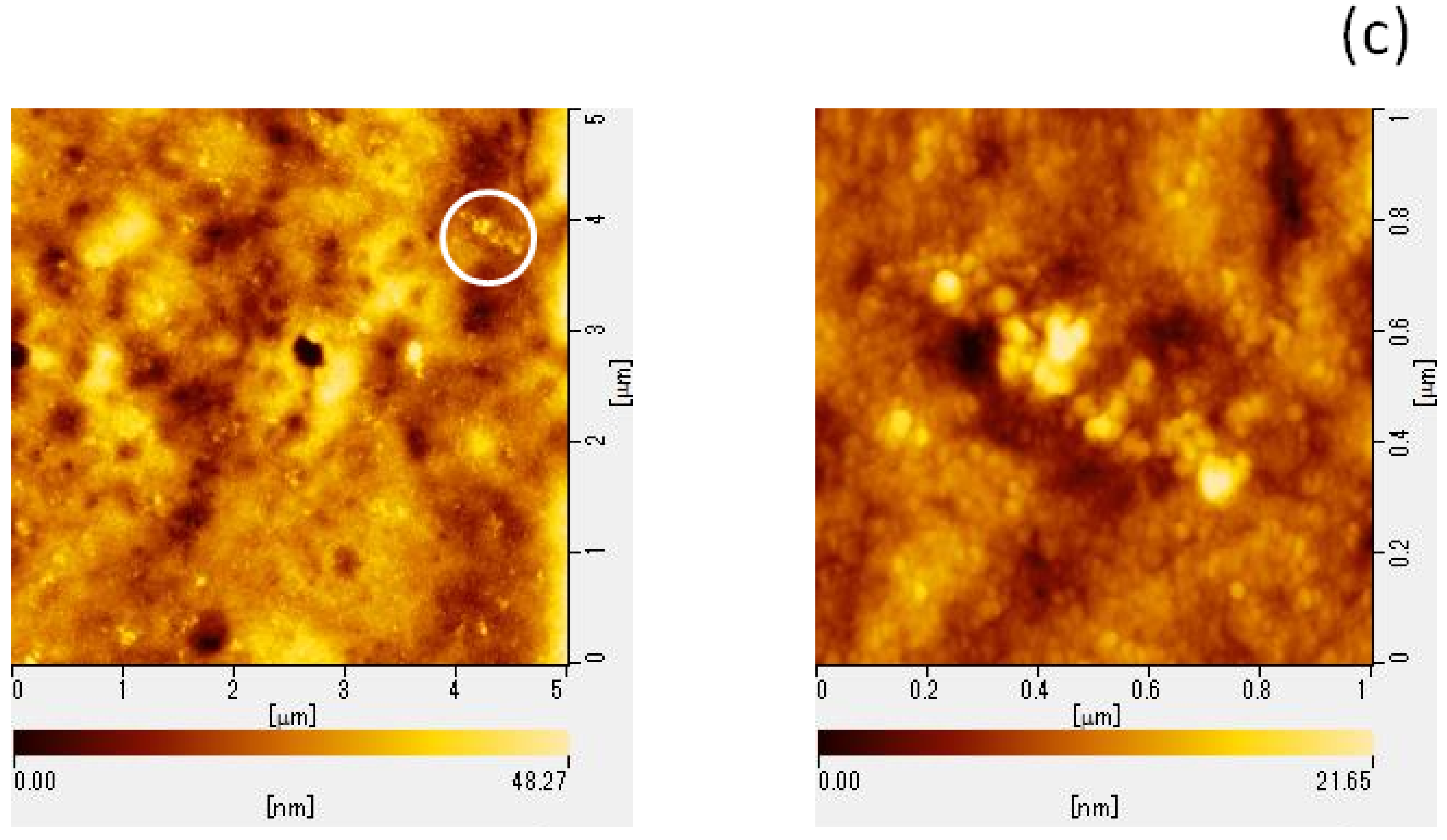 Molecules 27 07739 g002b