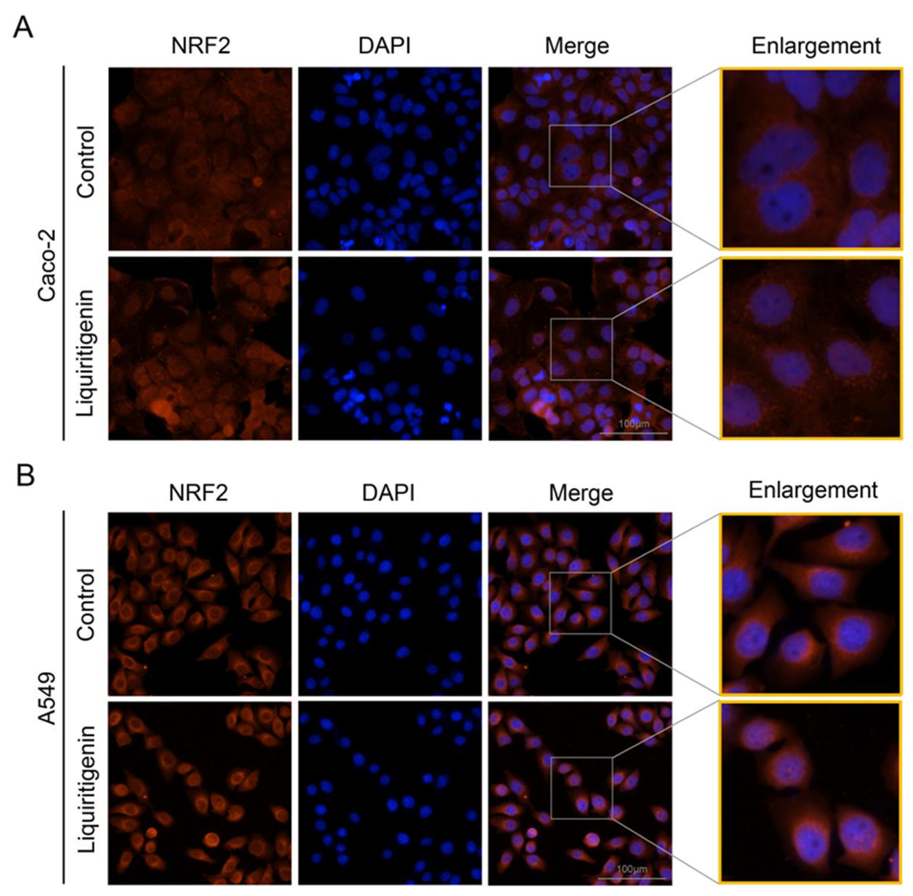Molecules 27 07743 g007