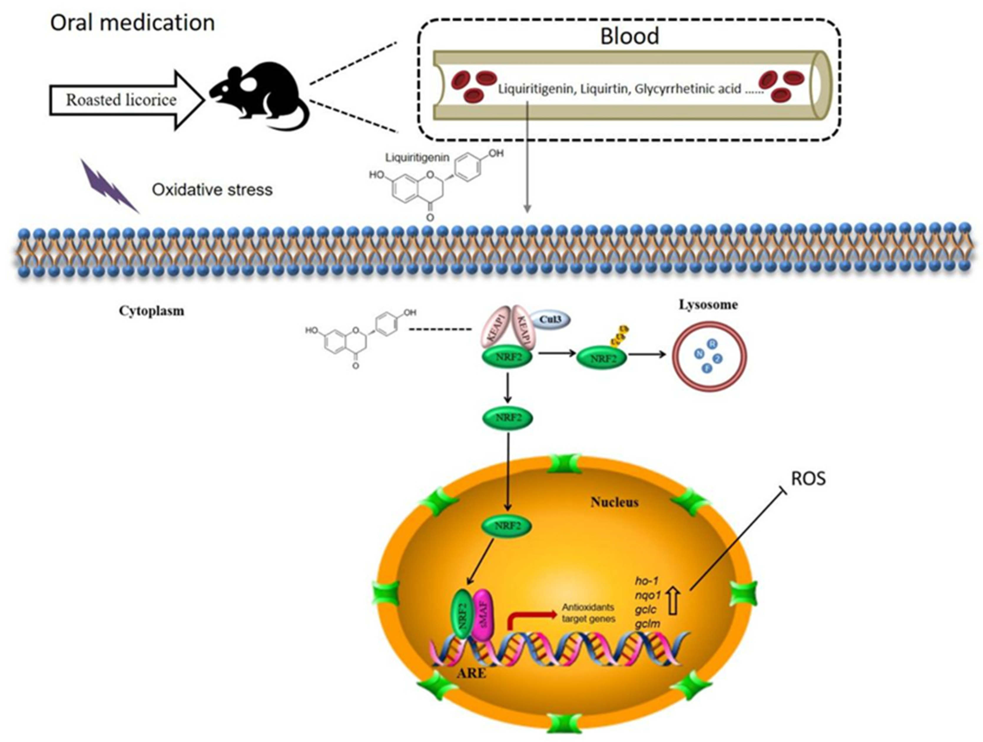 Molecules 27 07743 g009