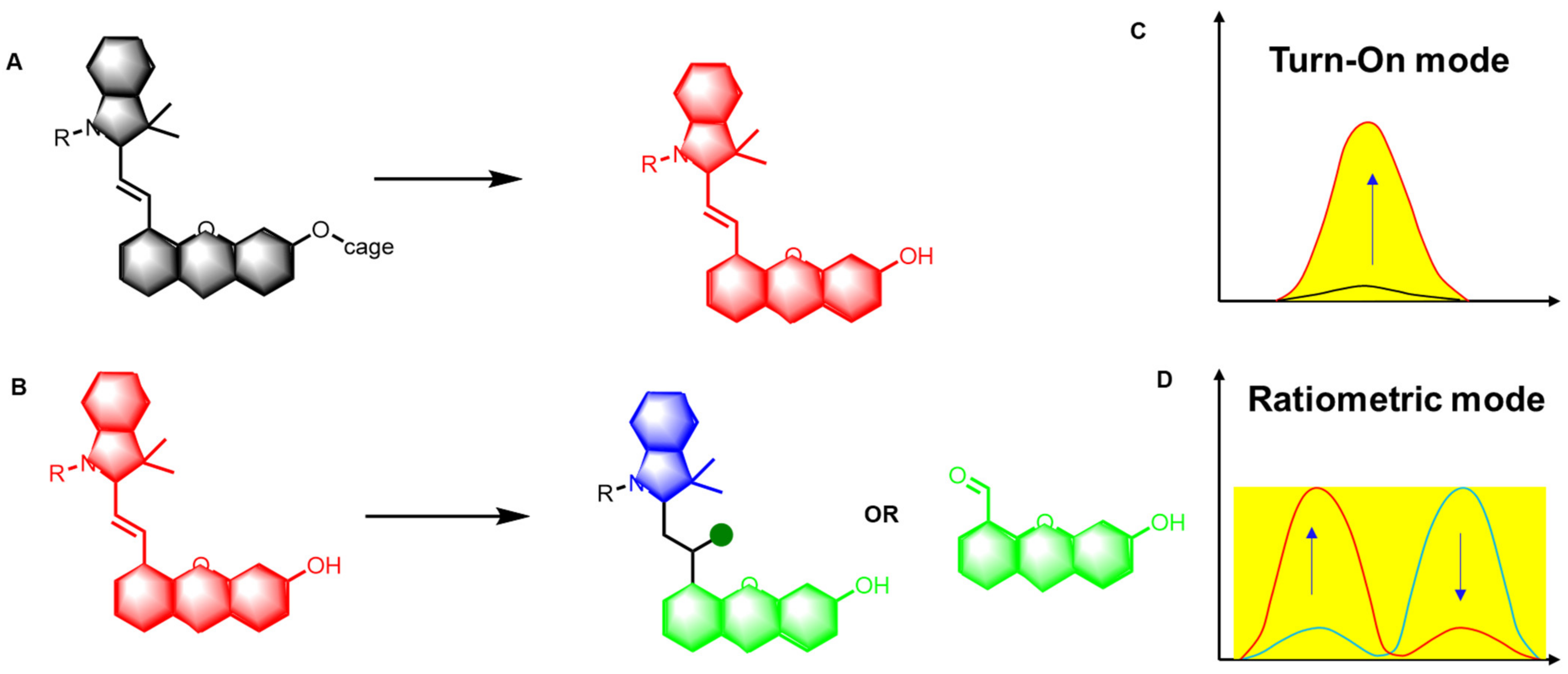 Molecules 27 07750 g002