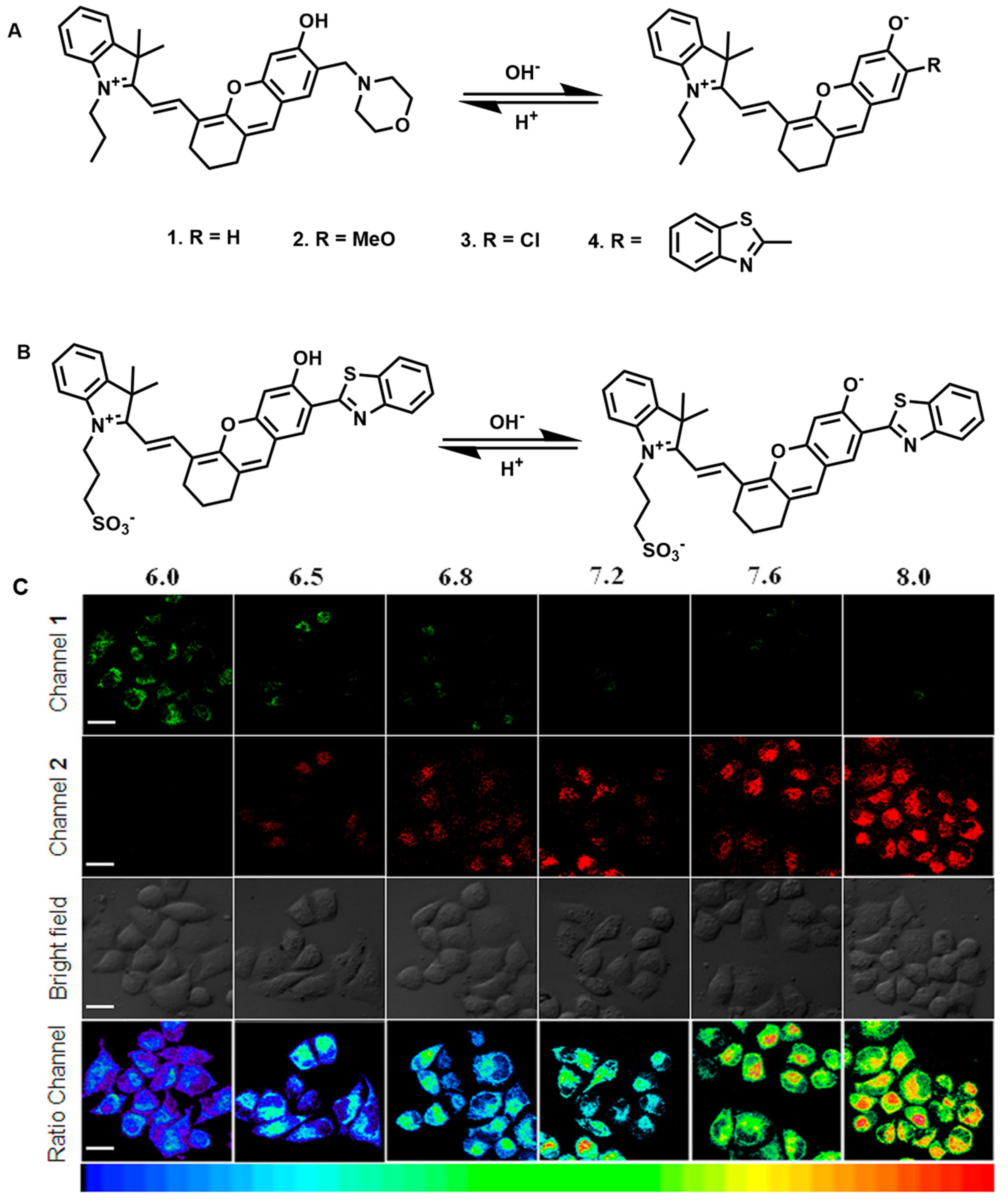 Molecules 27 07750 g003