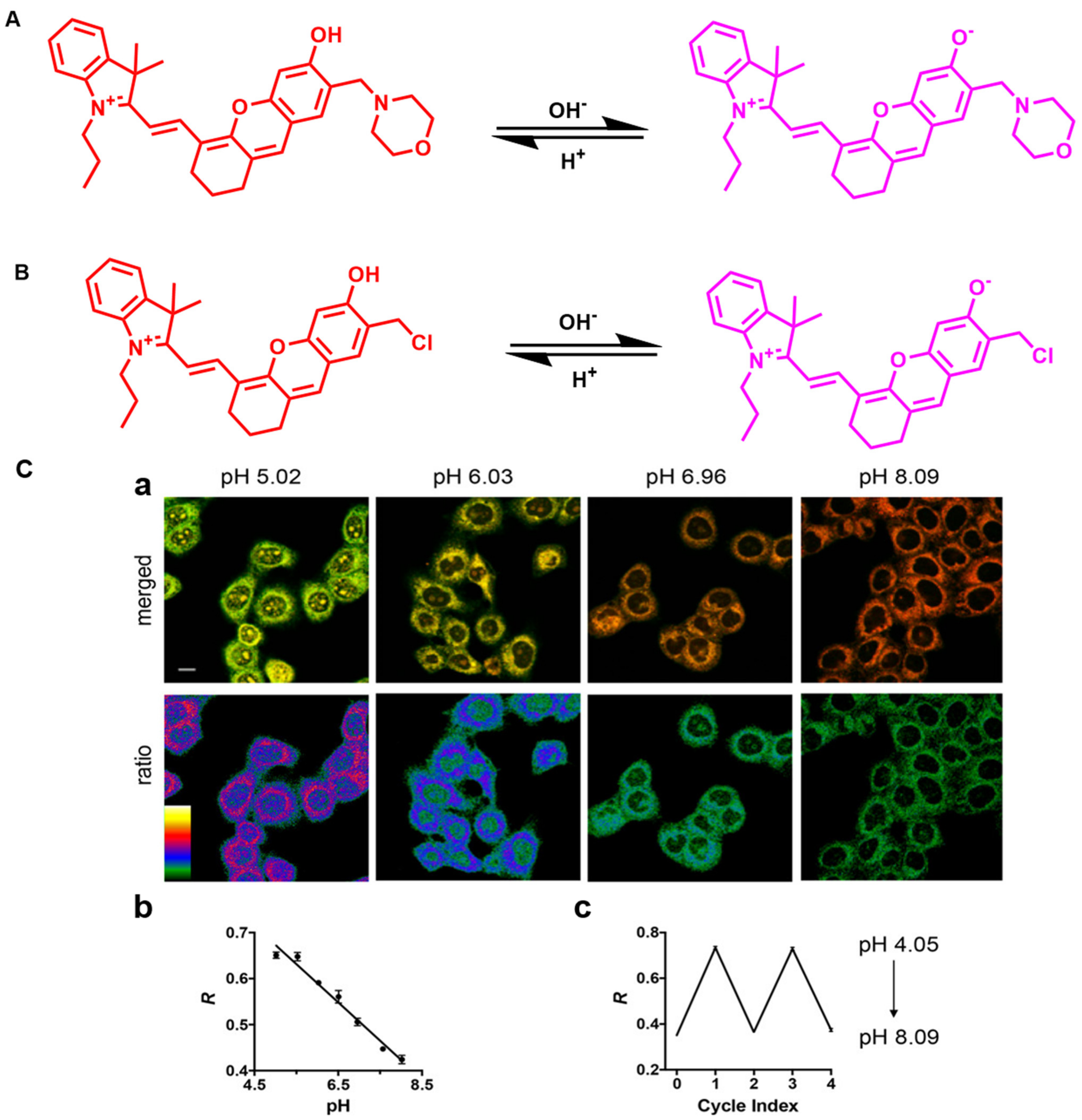 Molecules 27 07750 g004