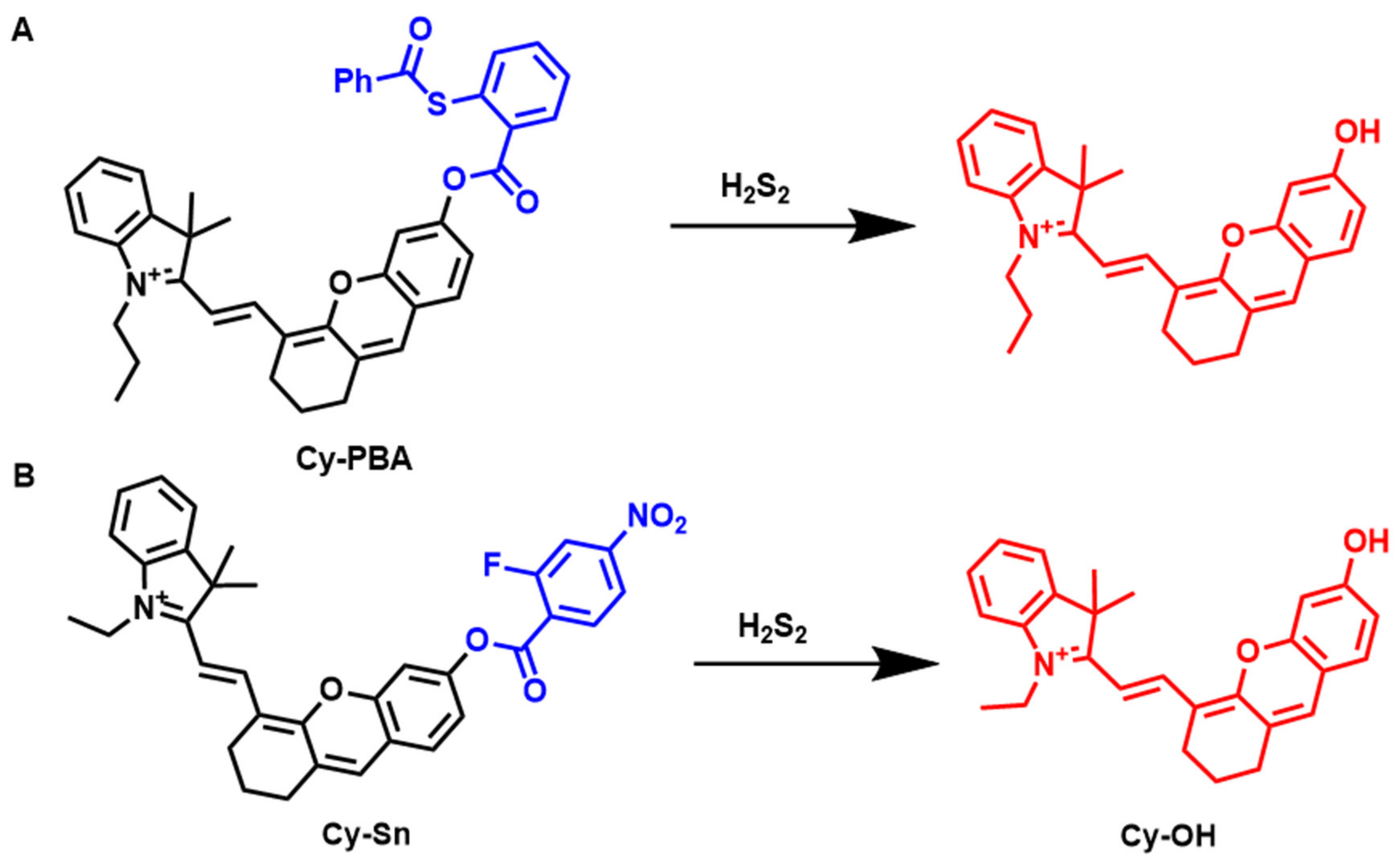 Molecules 27 07750 g011
