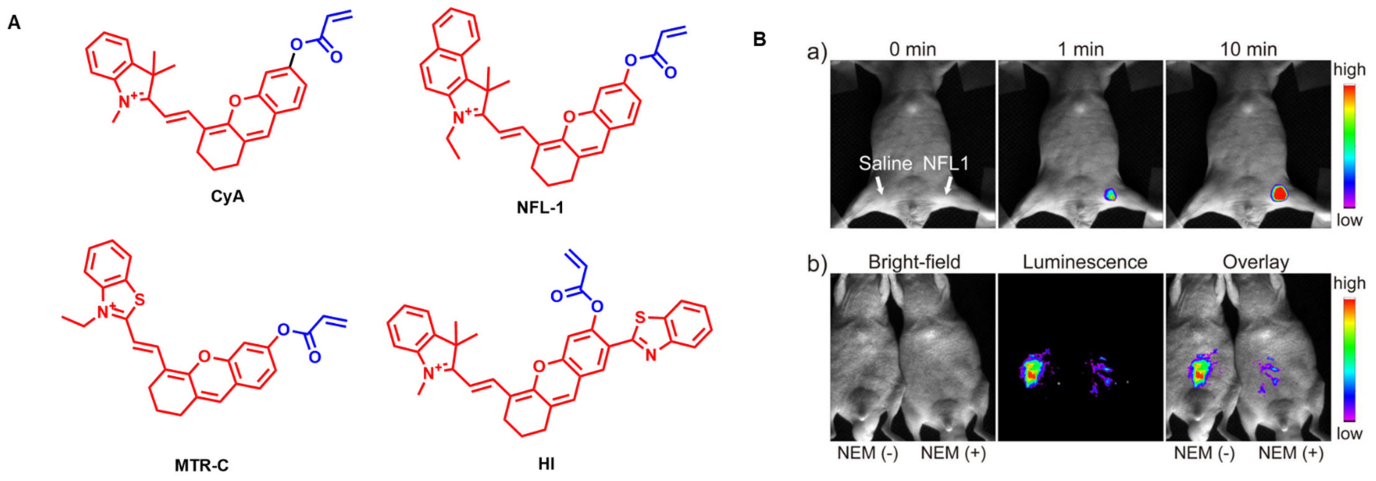 Molecules 27 07750 g012