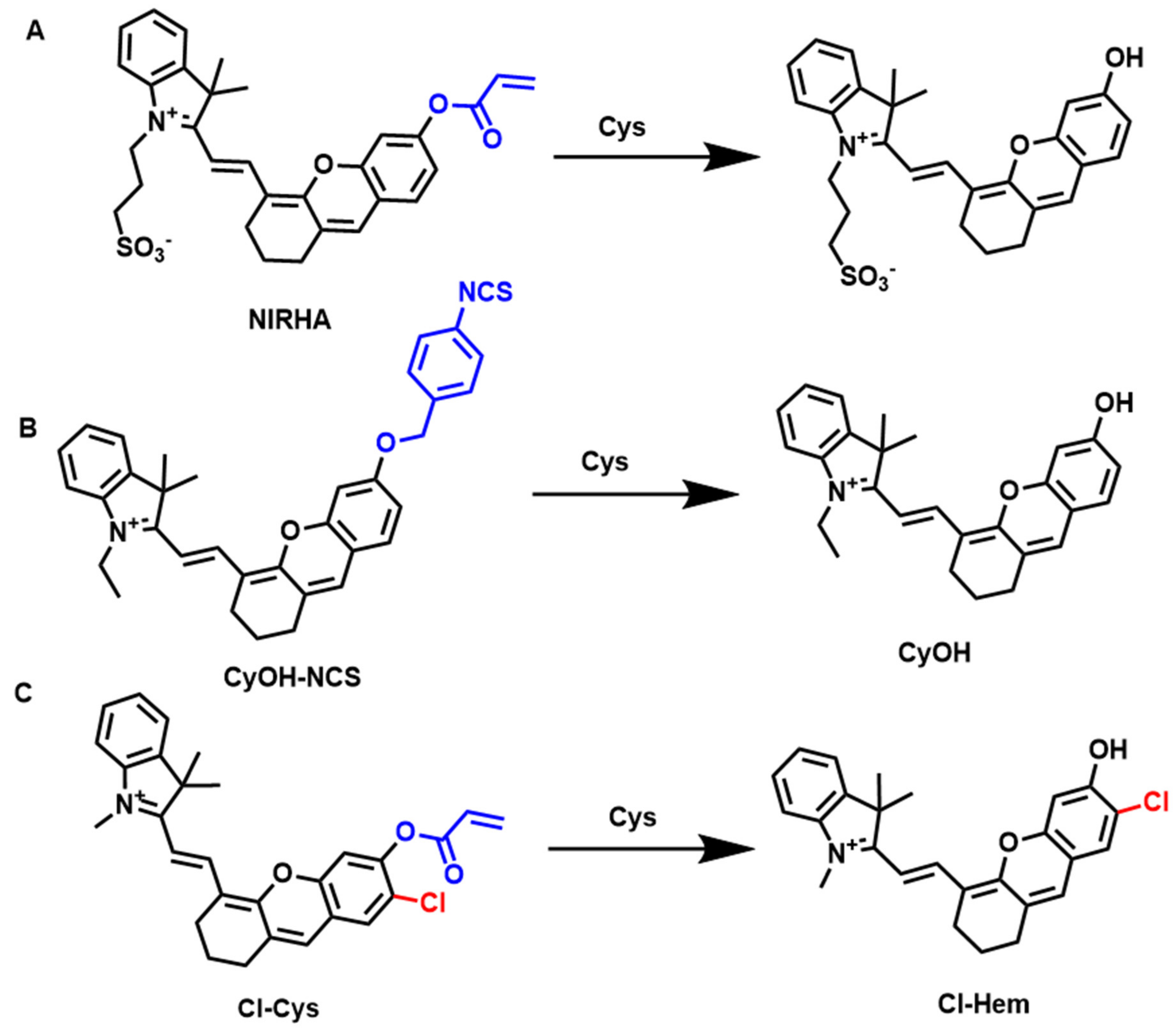 Molecules 27 07750 g013