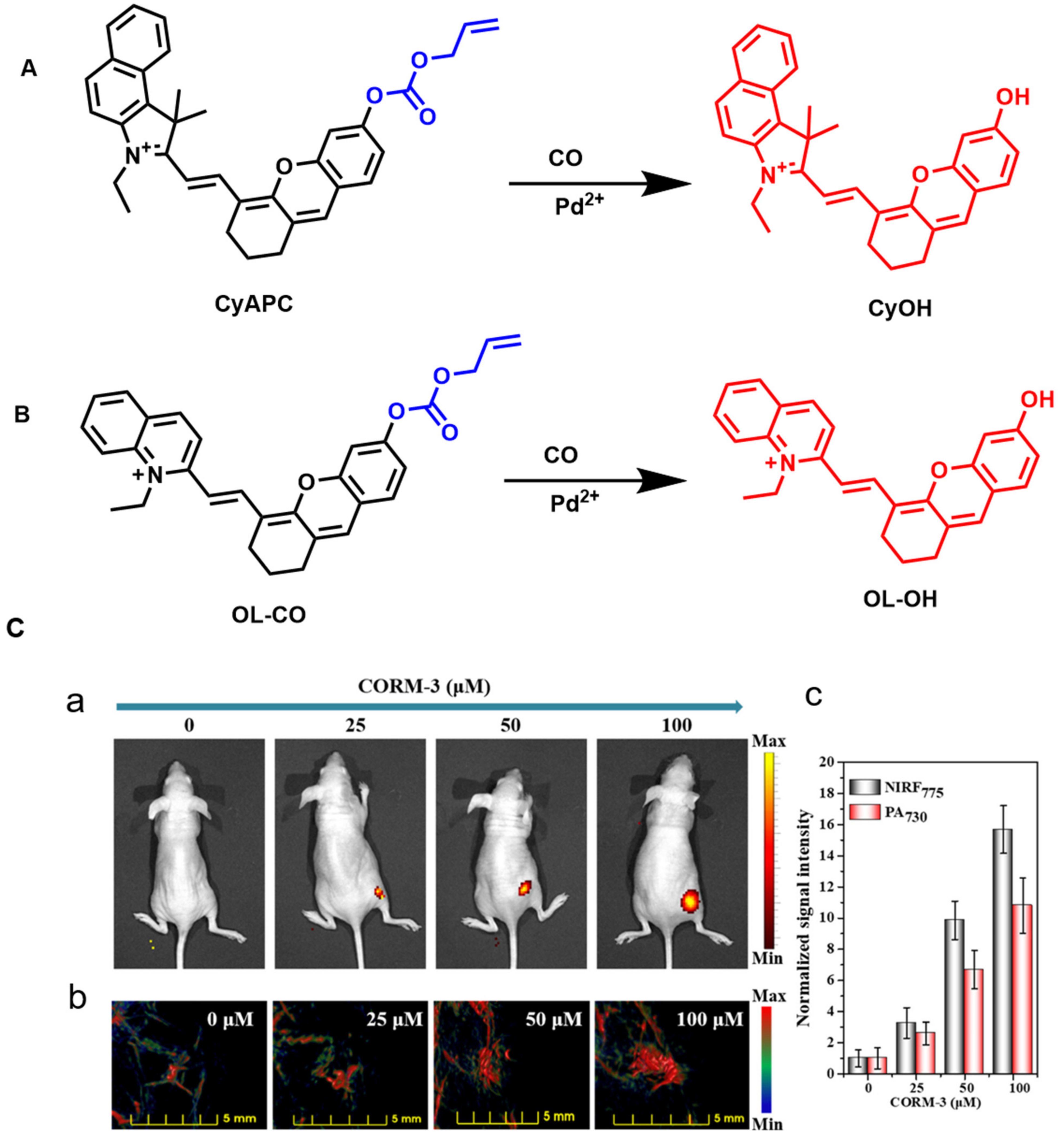 Molecules 27 07750 g015