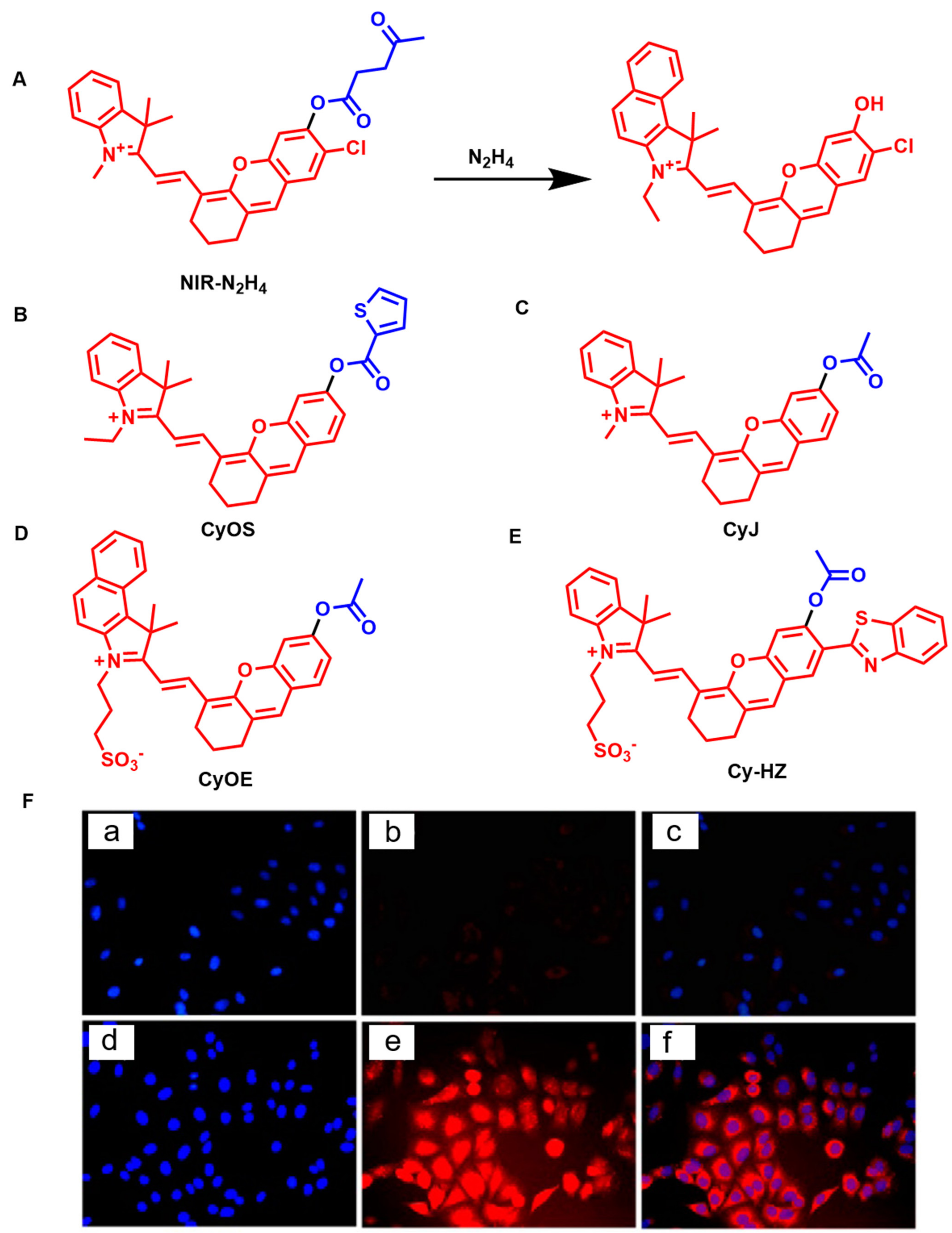 Molecules 27 07750 g016