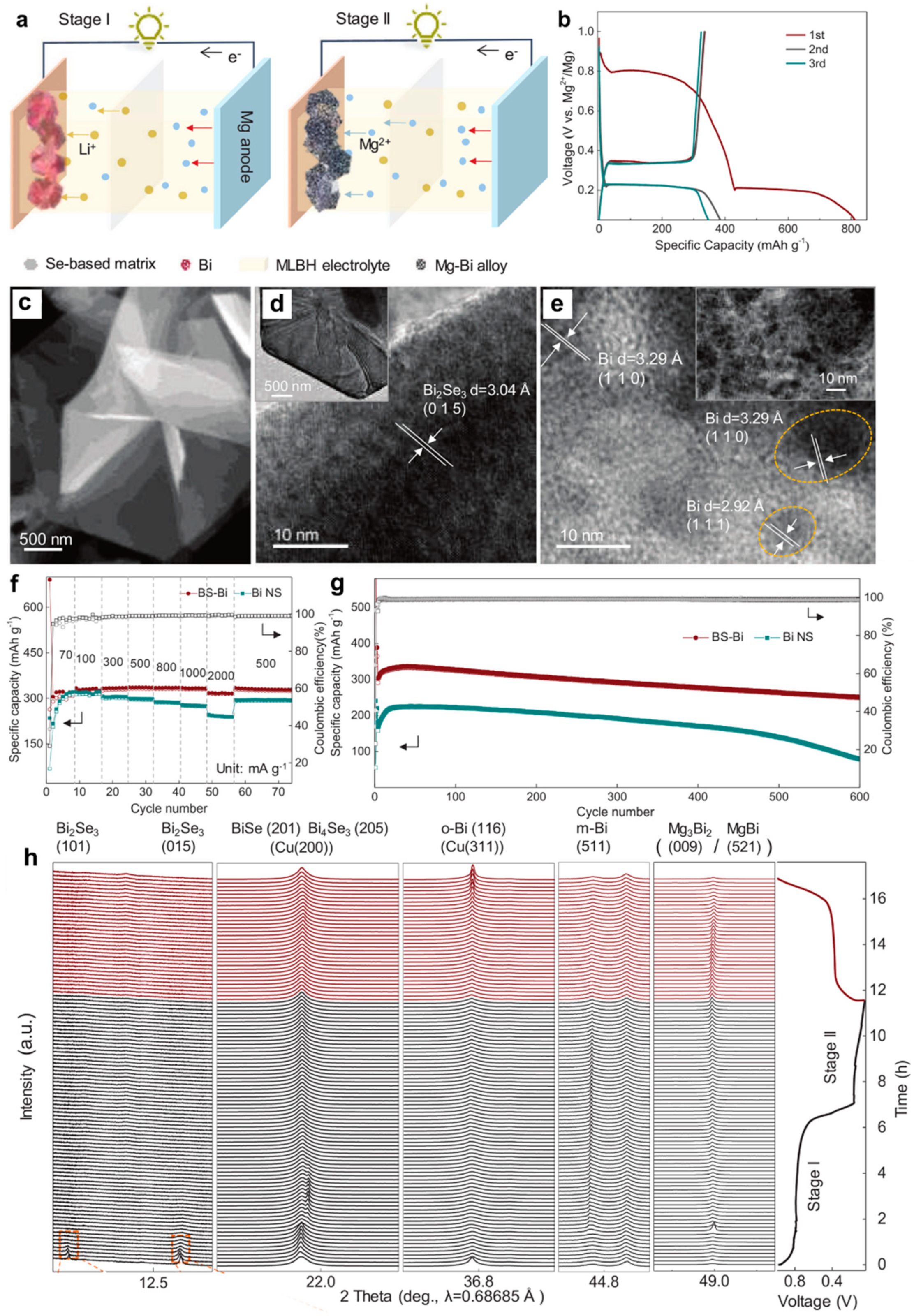 Molecules 27 07751 g010