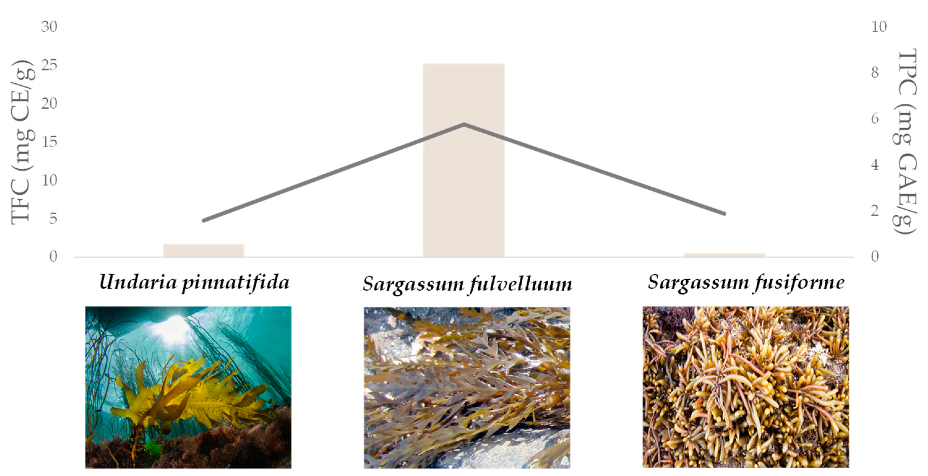 Molecules 27 07752 g006