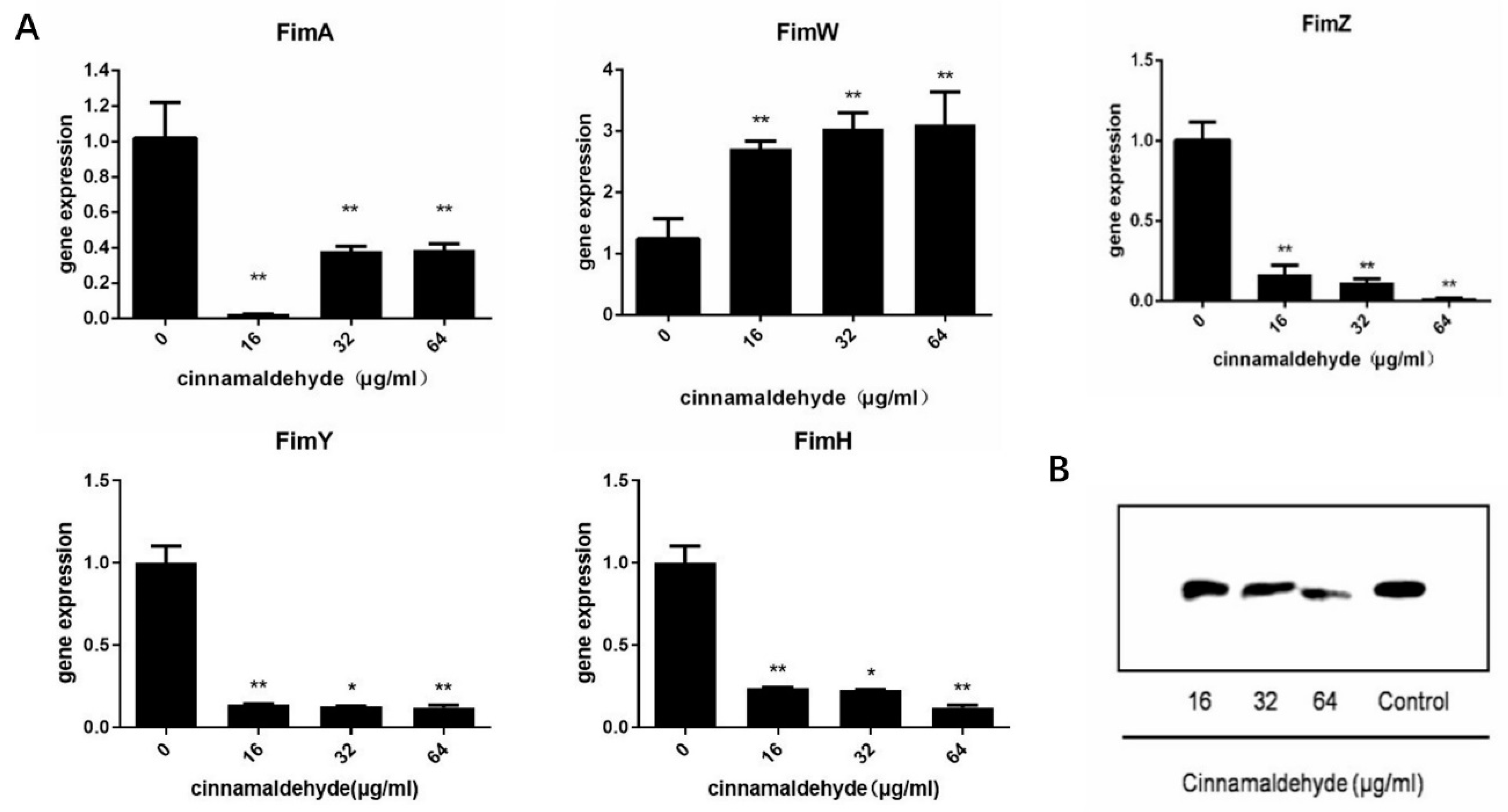 Molecules 27 07753 g002