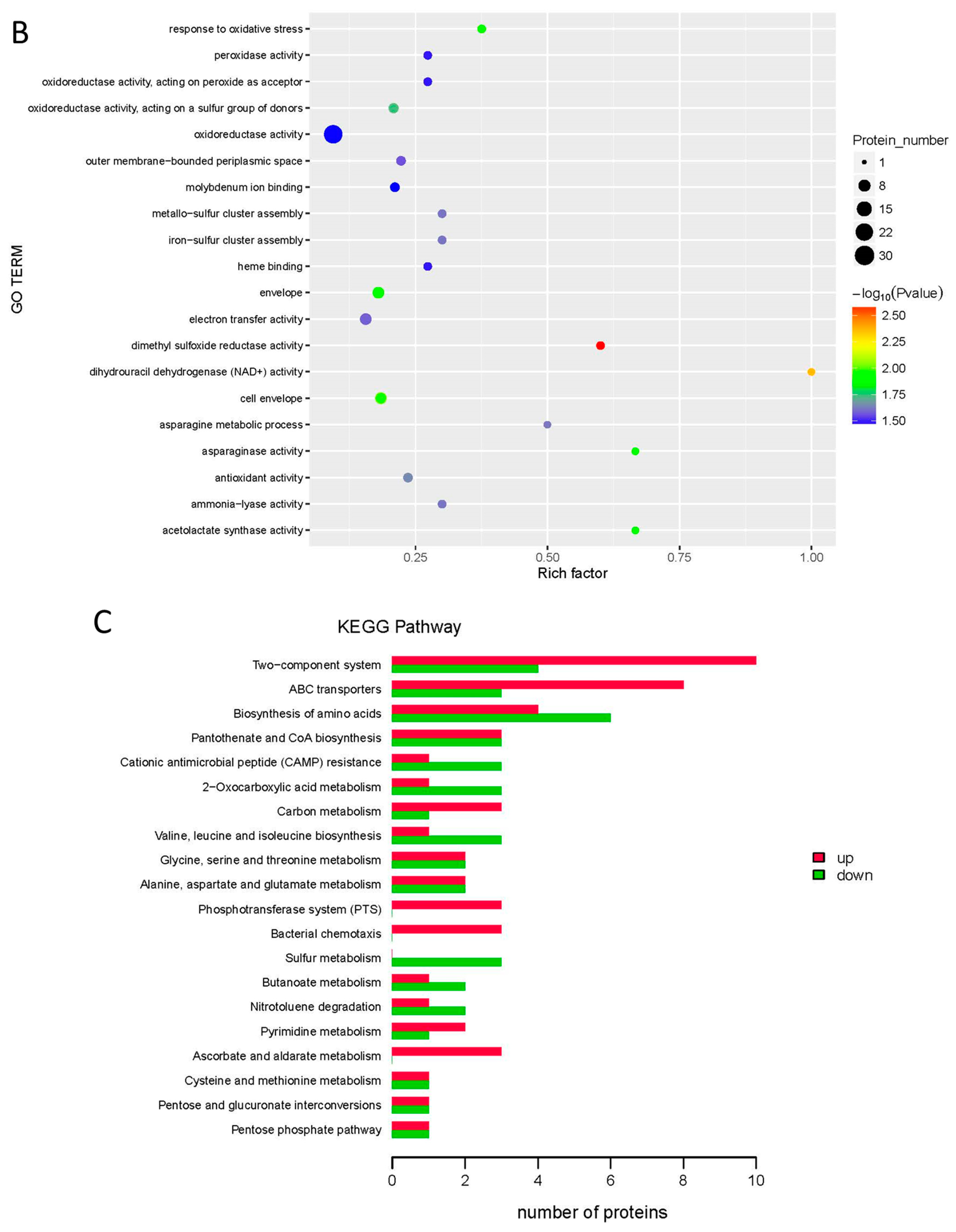 Molecules 27 07753 g003b