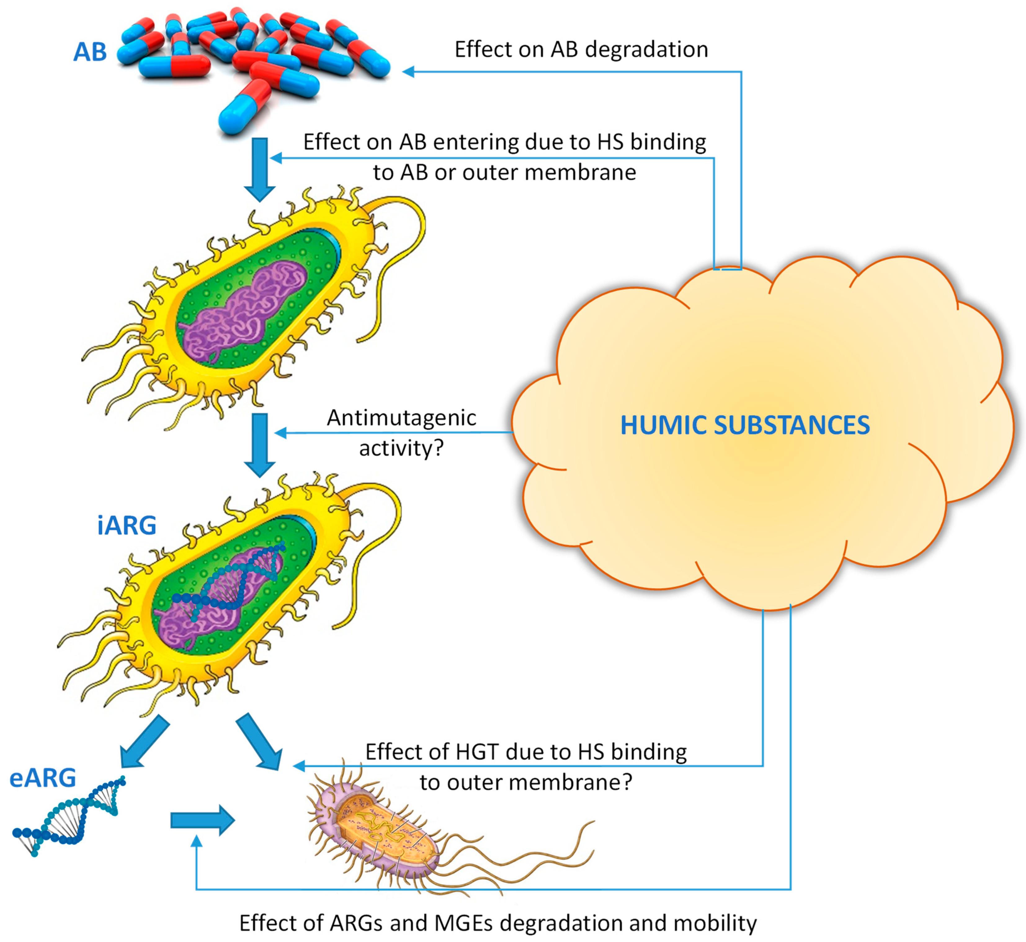 Molecules 27 07754 g004