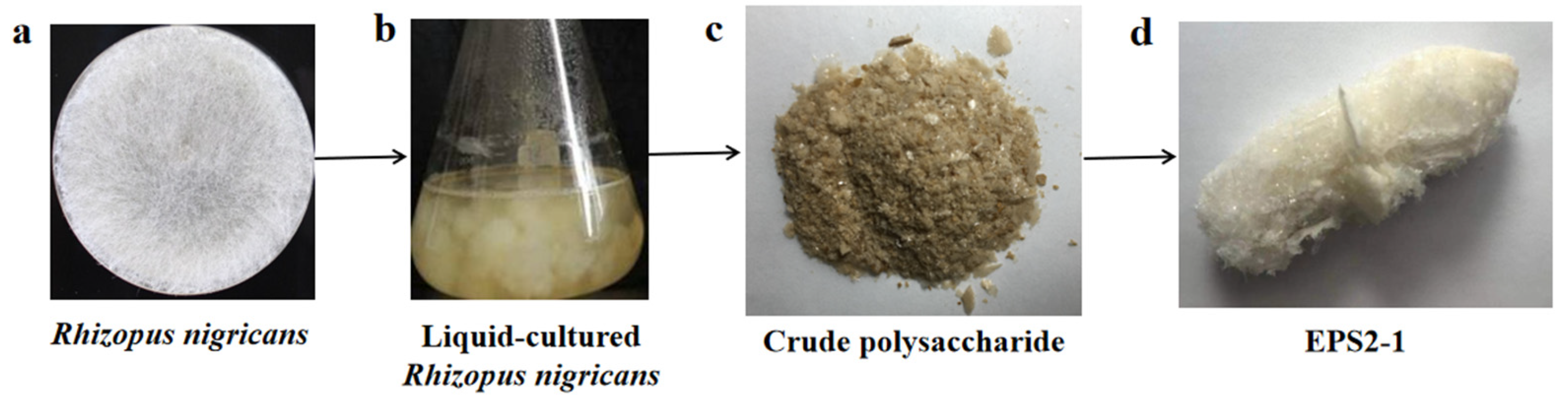 Molecules 27 07756 g001