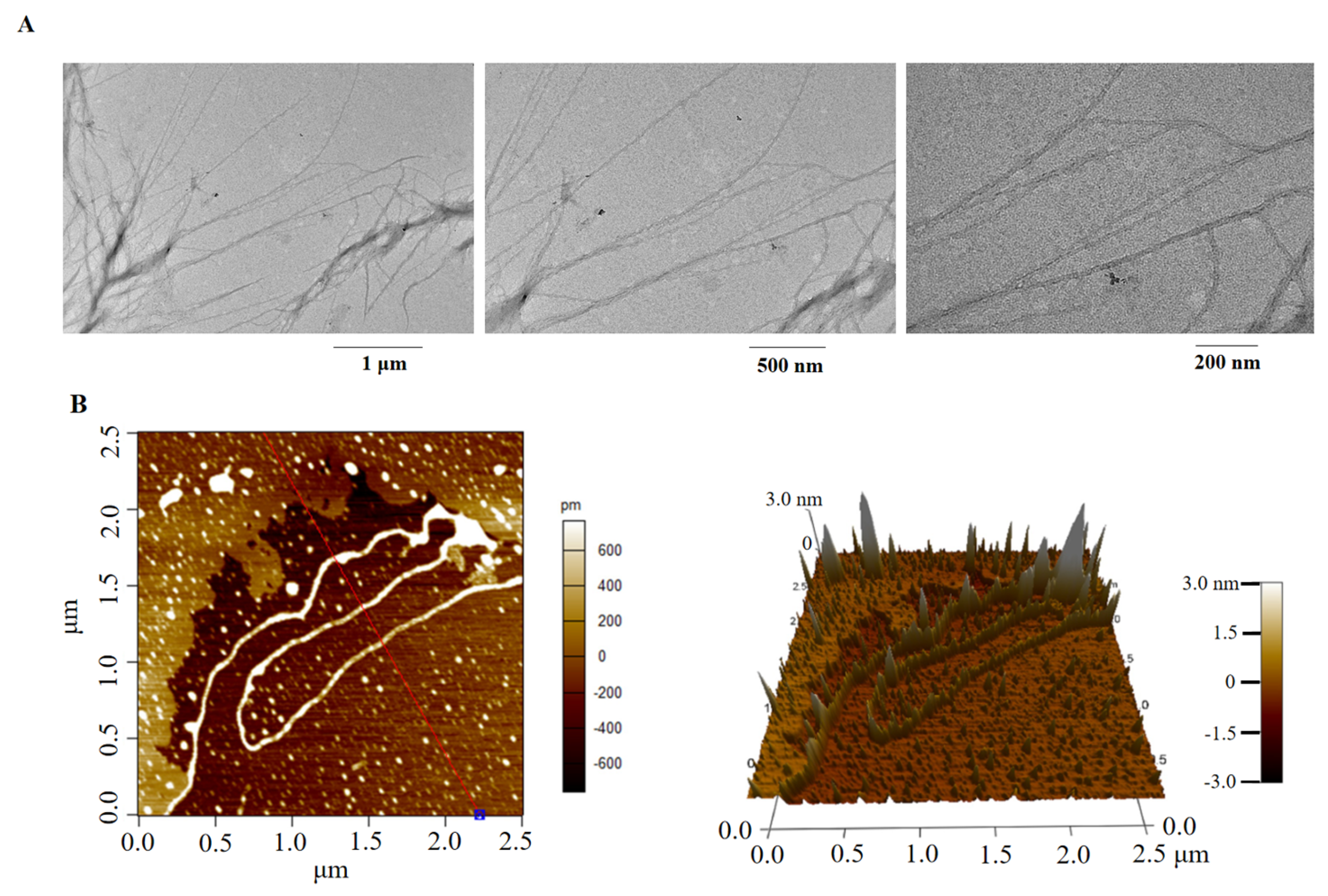 Molecules 27 07756 g006