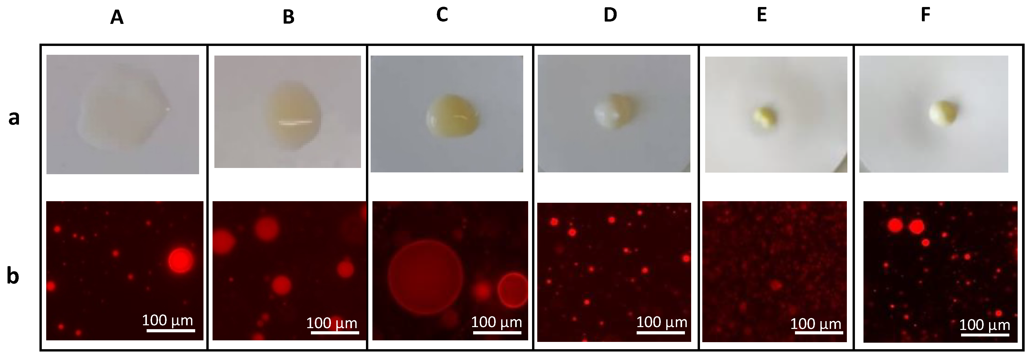Molecules 27 07759 g003 Molecules 27 07759 g003