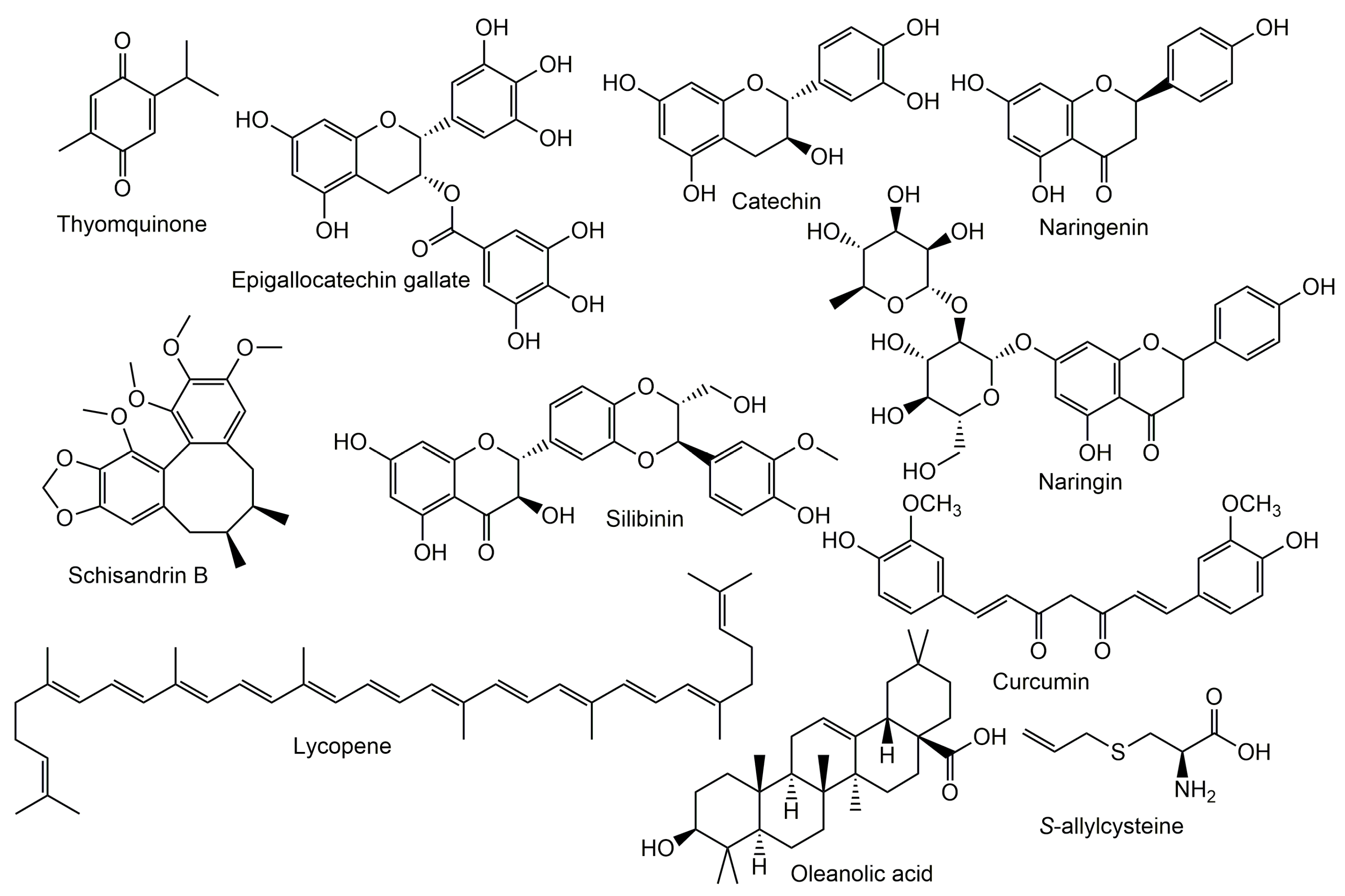 Molecules 27 07771 g003