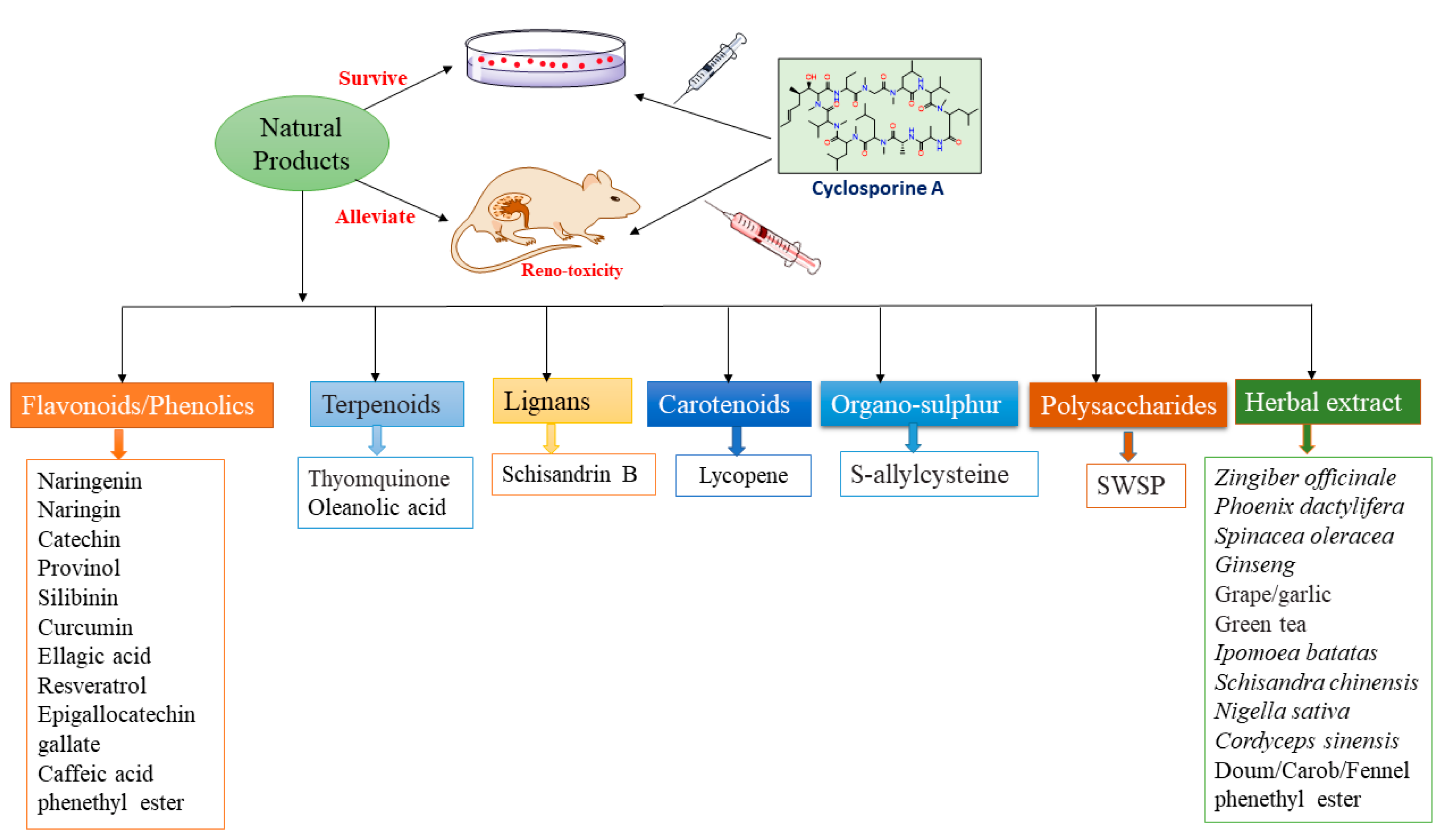 Molecules 27 07771 g004