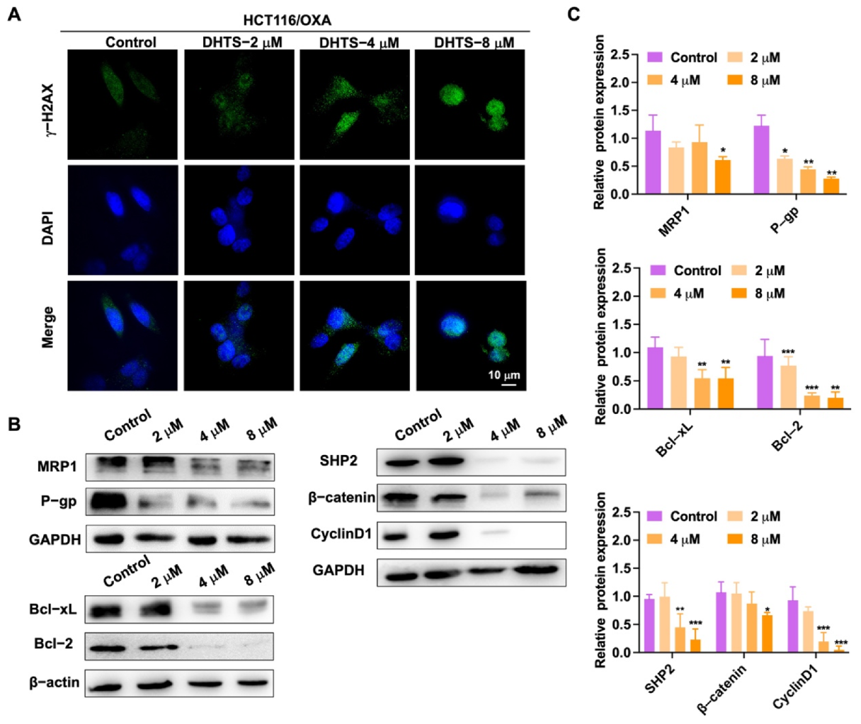 Molecules 27 07774 g006 Molecules 27 07774 g006
