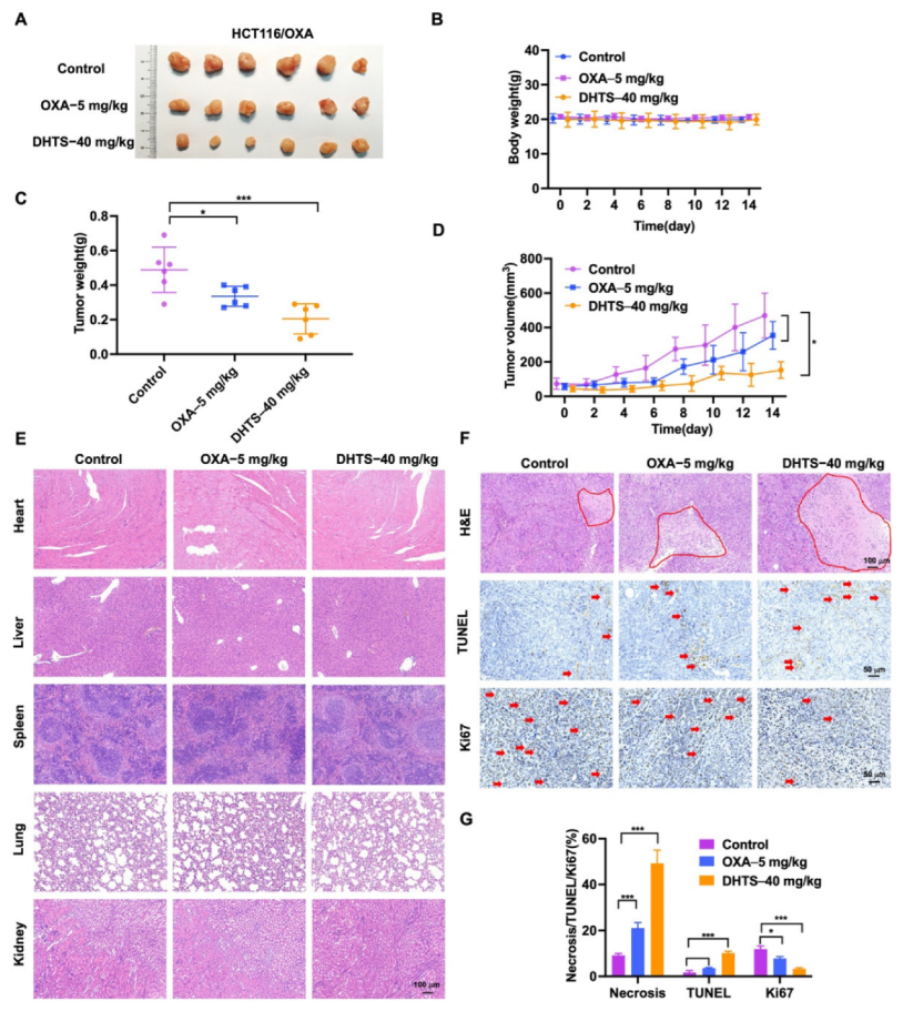 Molecules 27 07774 g007 Molecules 27 07774 g007