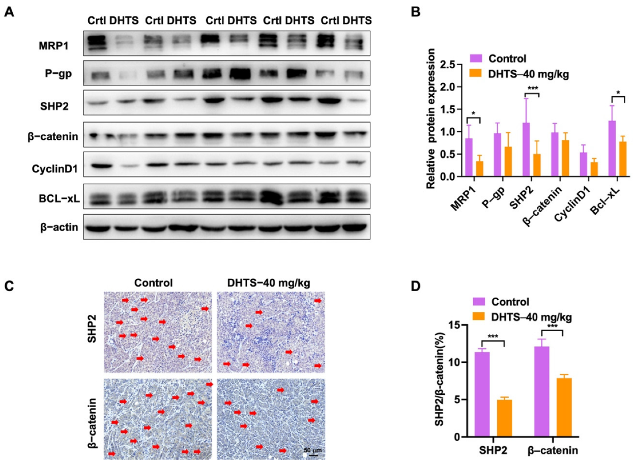 Molecules 27 07774 g008 Molecules 27 07774 g008
