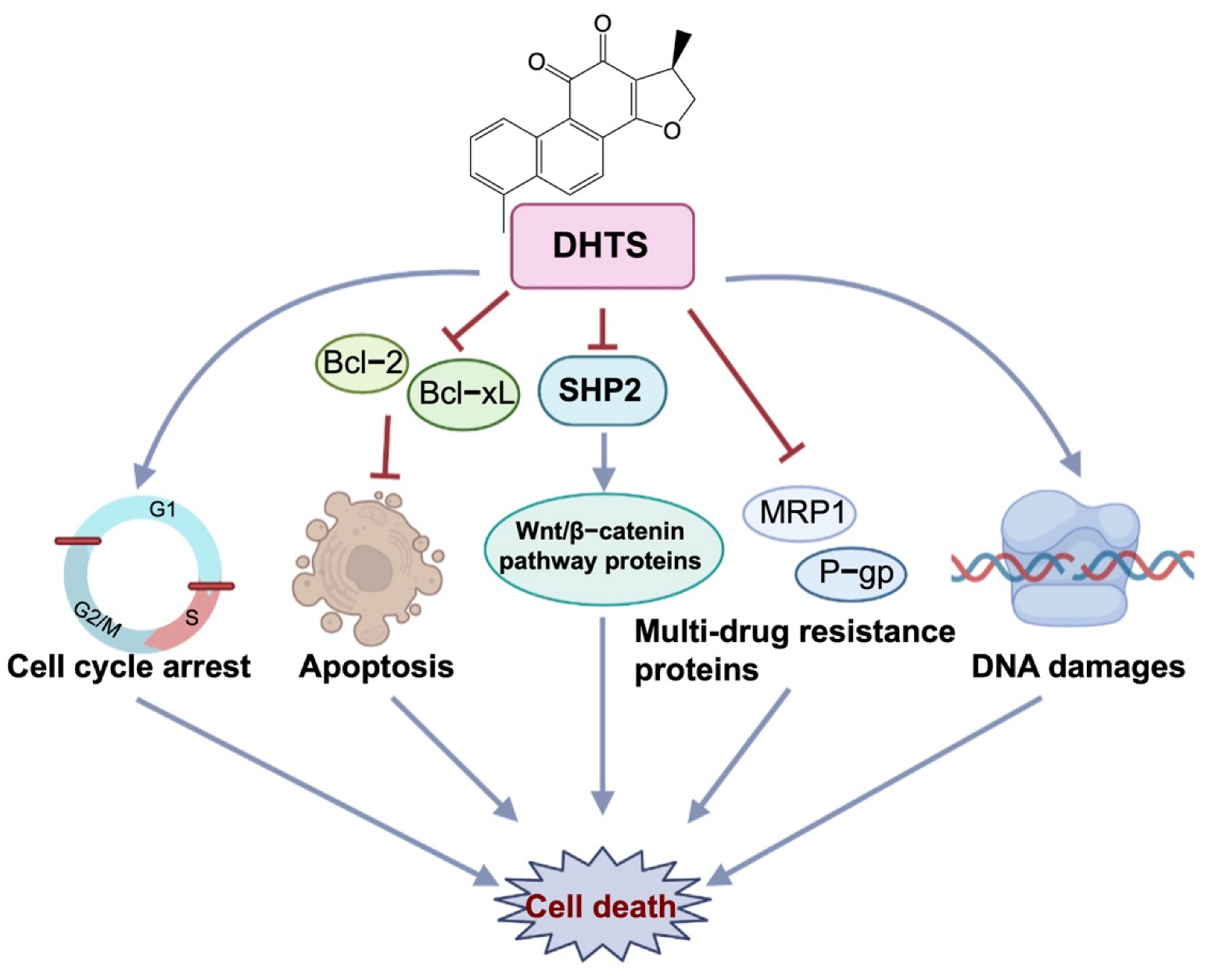 Molecules 27 07774 g009 Molecules 27 07774 g009