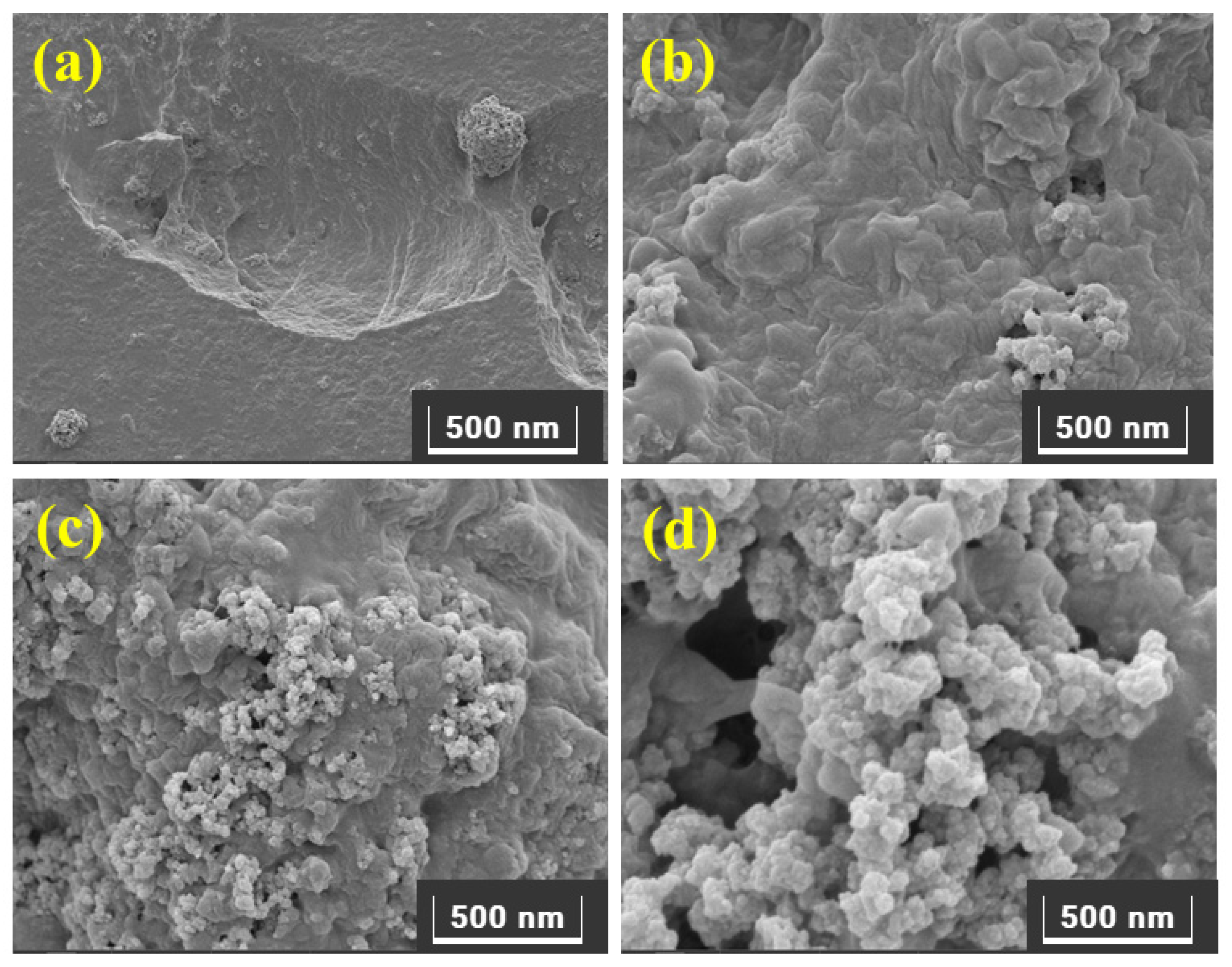 Molecules 27 07775 g004 Molecules 27 07775 g004