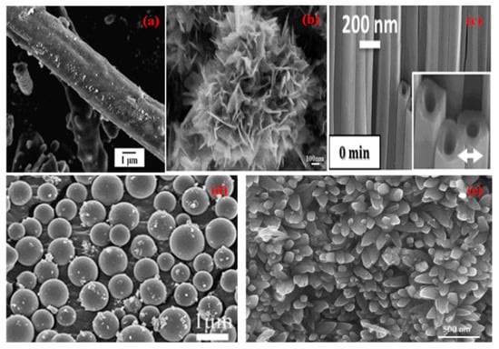 Molecules 27 07778 g001