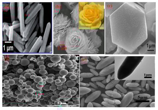 Molecules 27 07778 g003