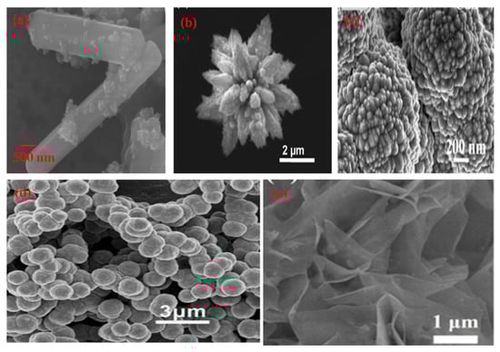 Molecules 27 07778 g005