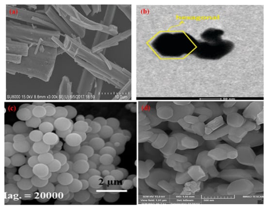 Molecules 27 07778 g009