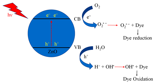 Molecules 27 07778 i002 Molecules 27 07778 i002