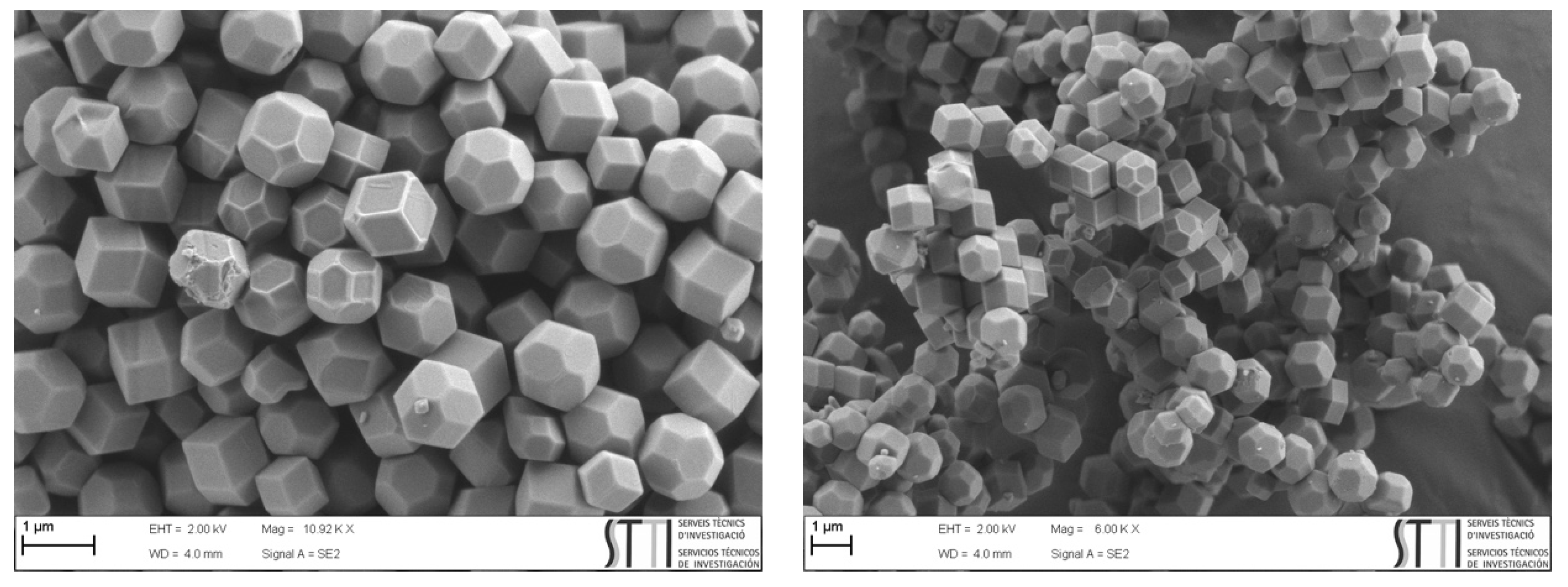 Molecules 27 07791 g005