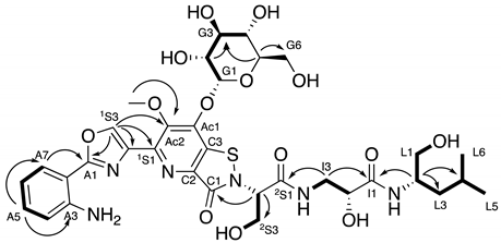 Molecules 27 07794 i001 Molecules 27 07794 i001