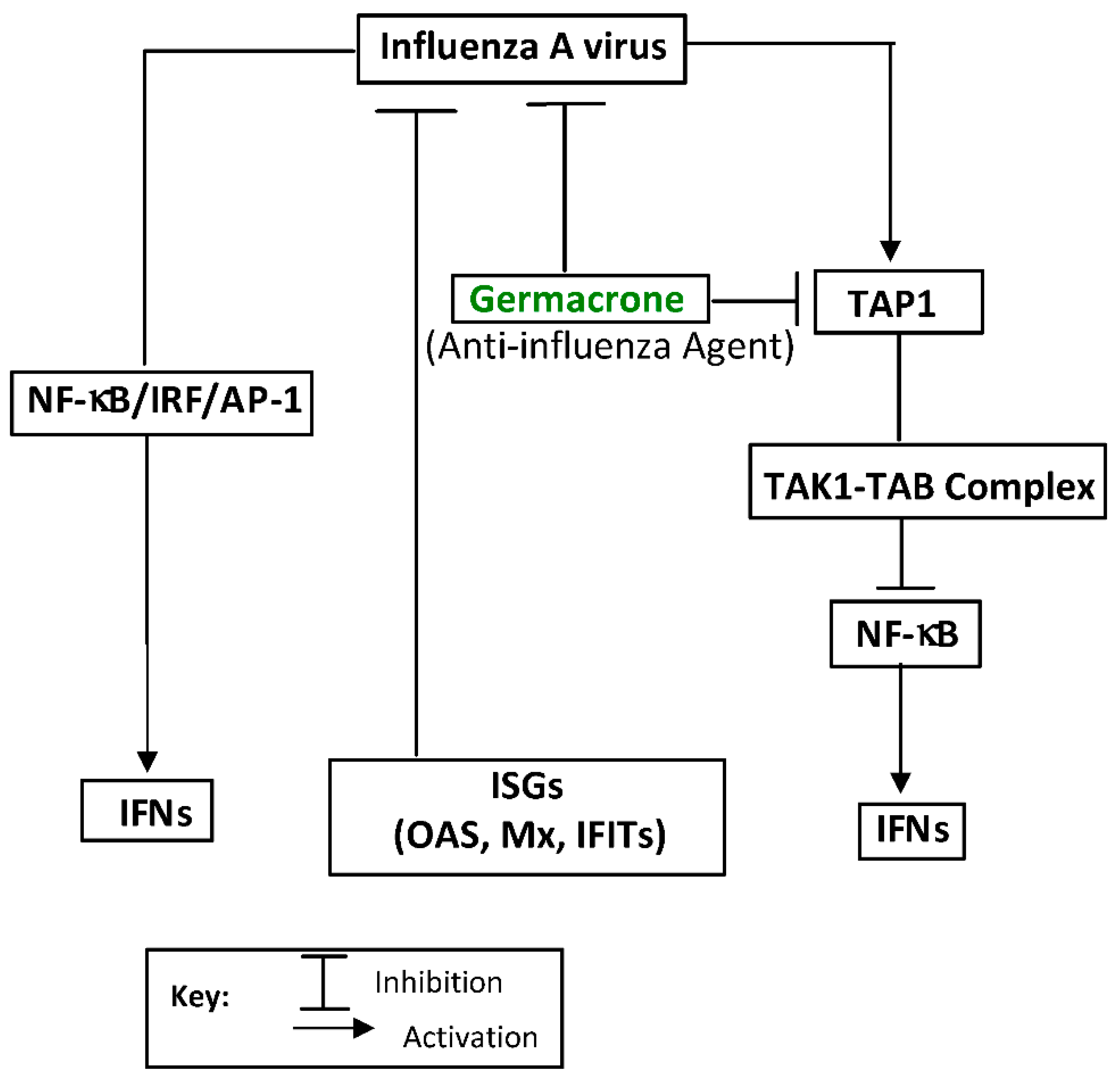 Molecules 27 07797 g005