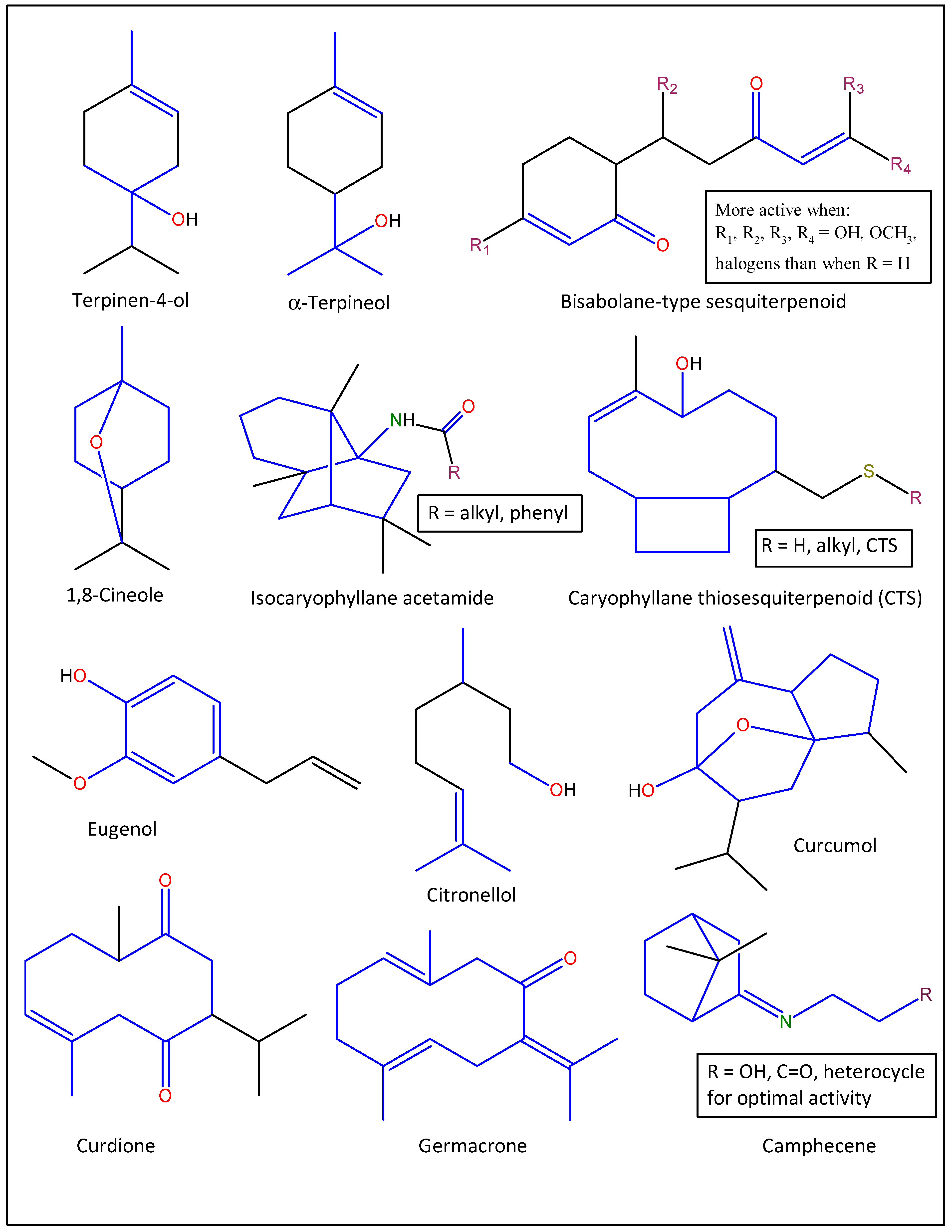 Molecules 27 07797 g006