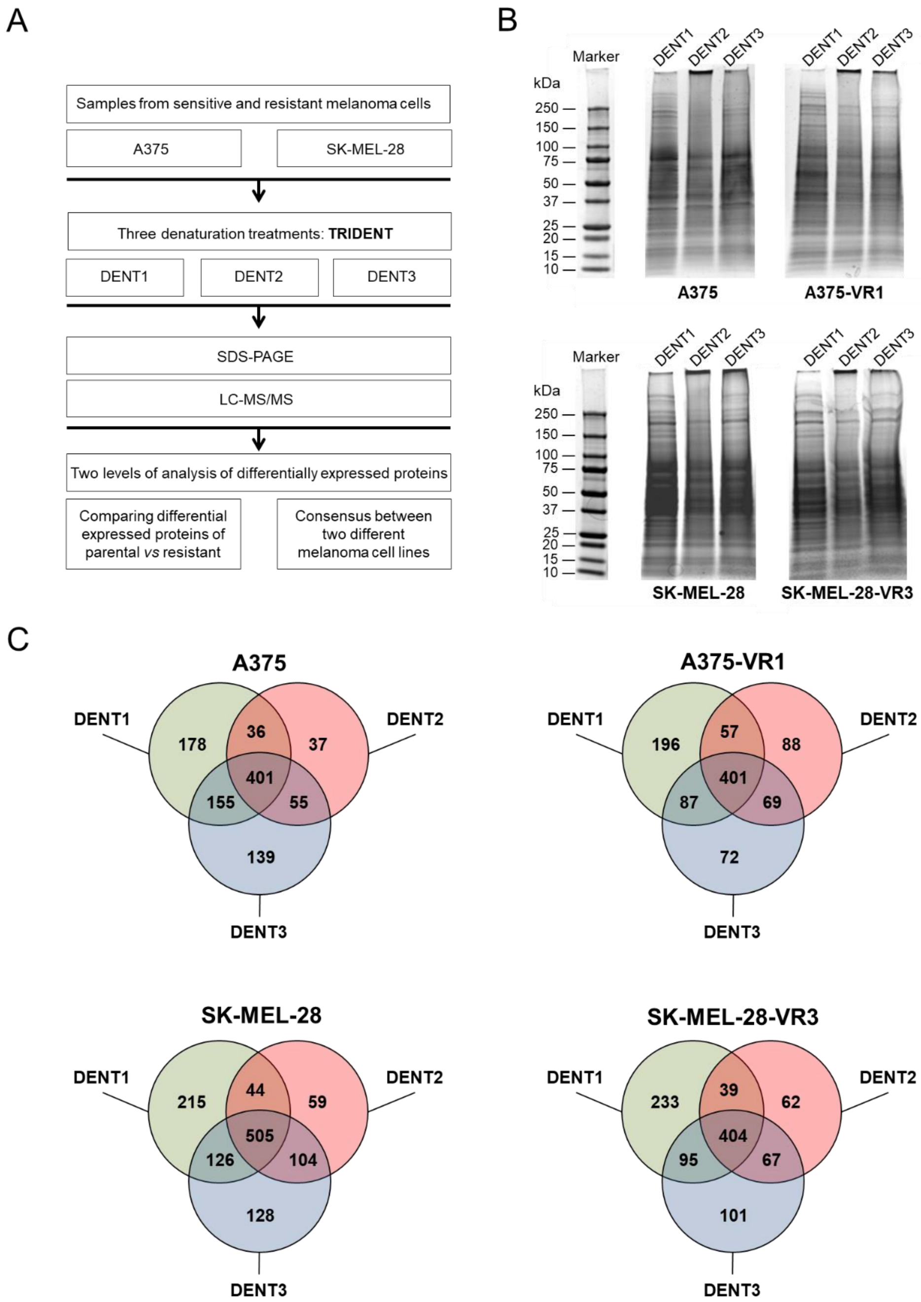 Molecules 27 07800 g001 Molecules 27 07800 g001