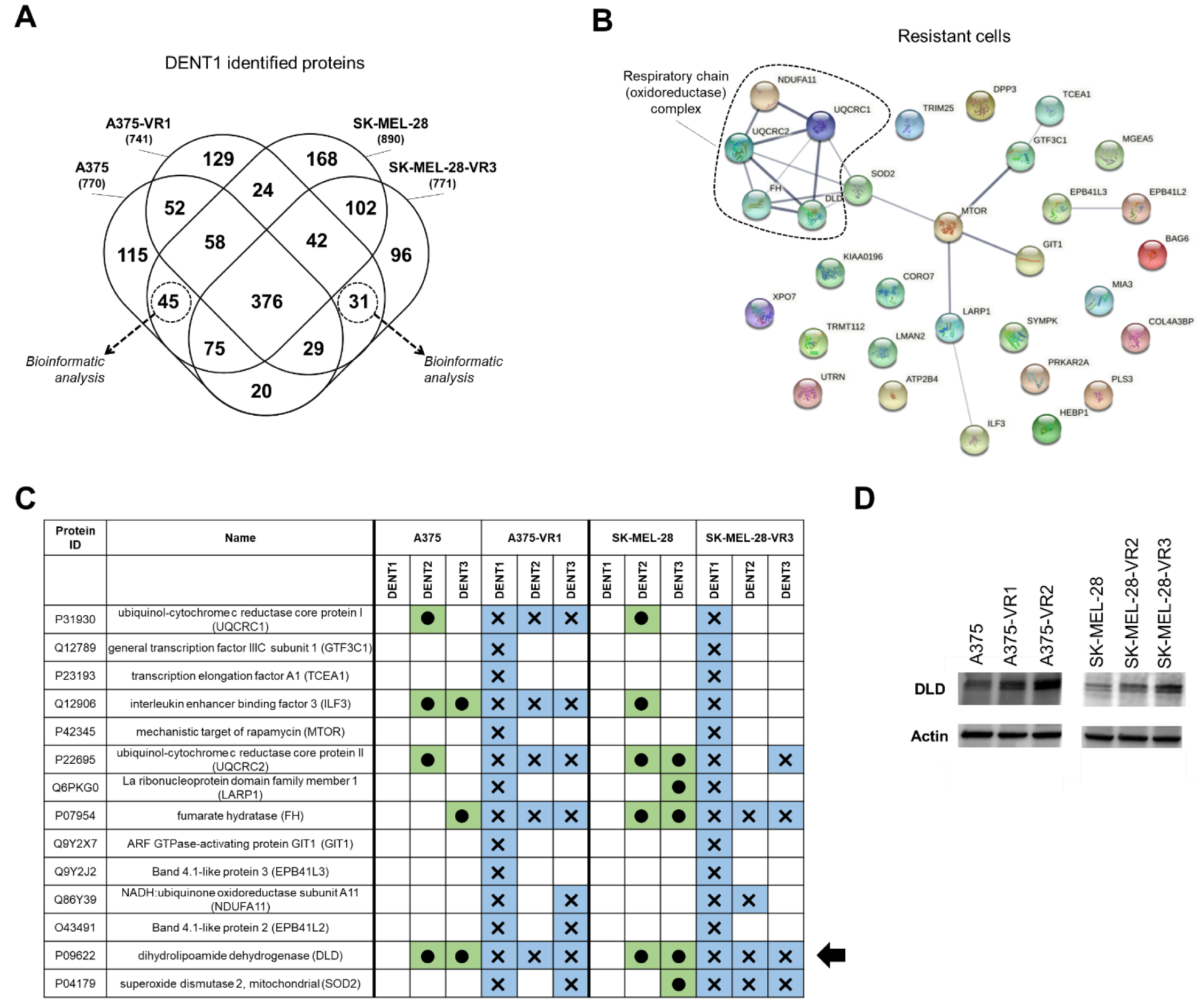 Molecules 27 07800 g003 Molecules 27 07800 g003