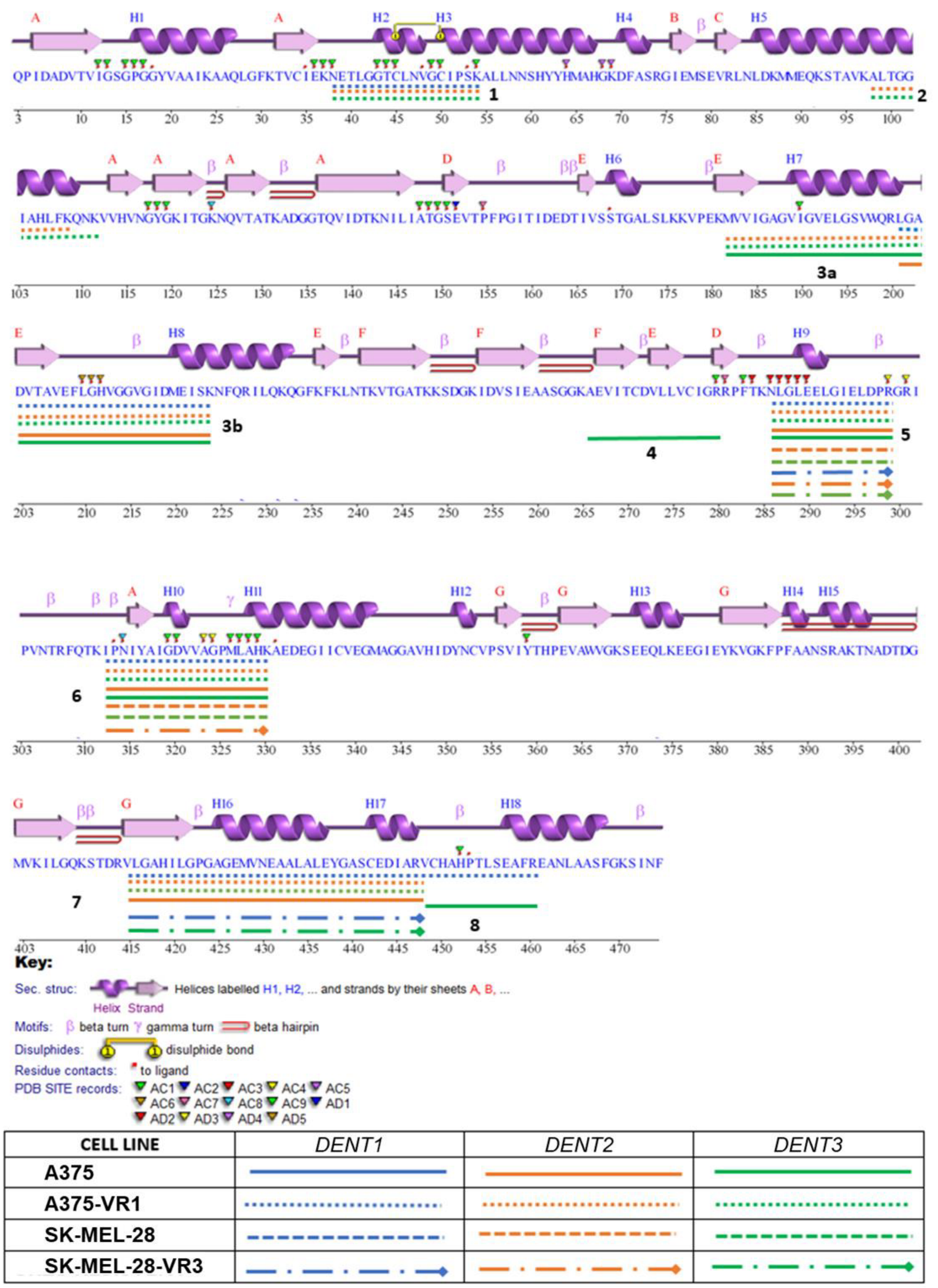 Molecules 27 07800 g005 Molecules 27 07800 g005