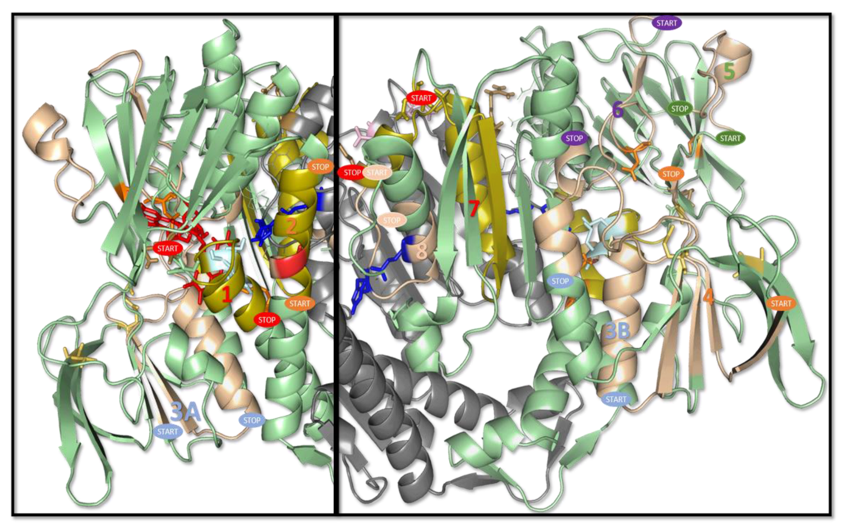 Molecules 27 07800 g006 Molecules 27 07800 g006