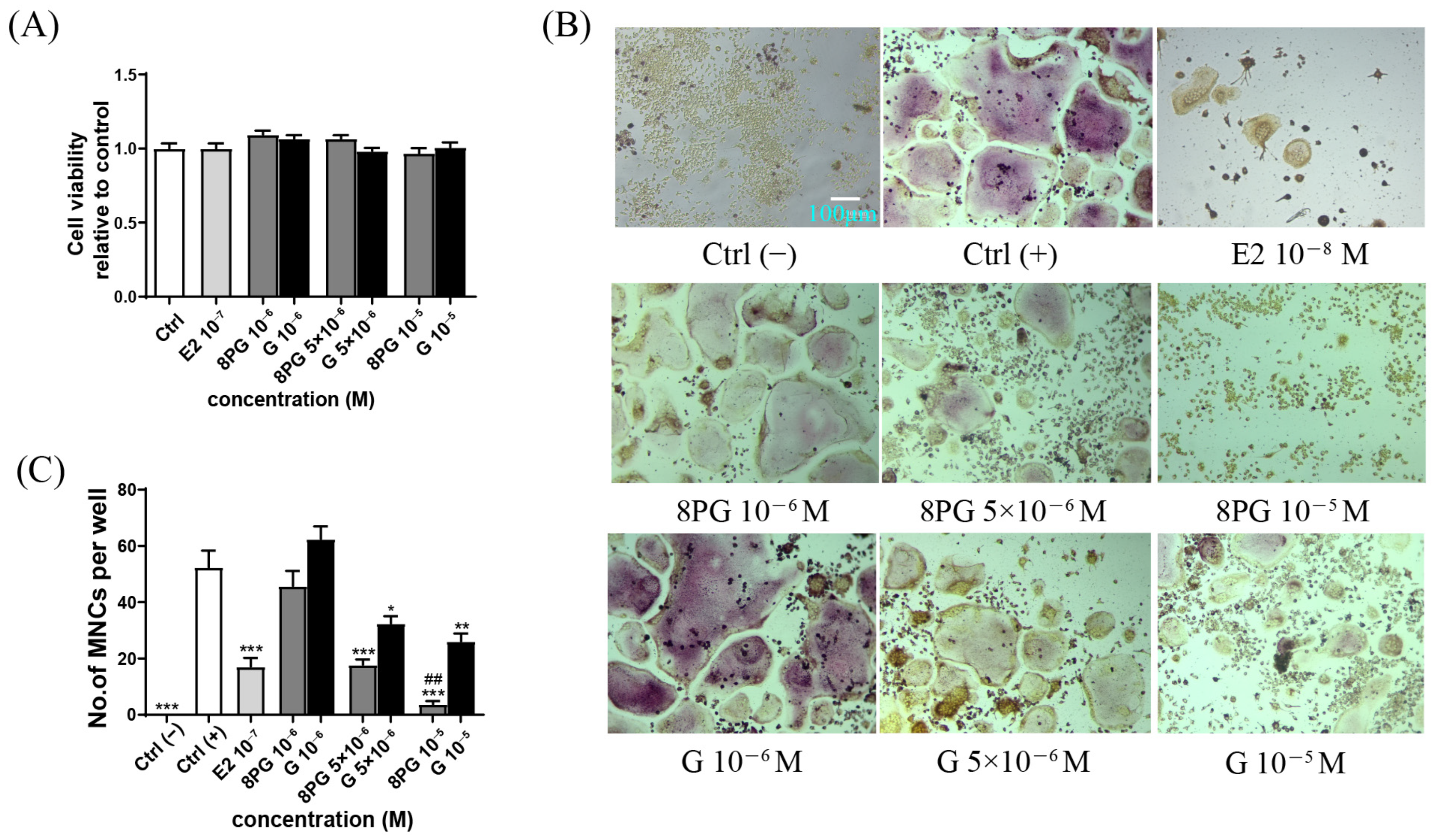 Molecules 27 07811 g004