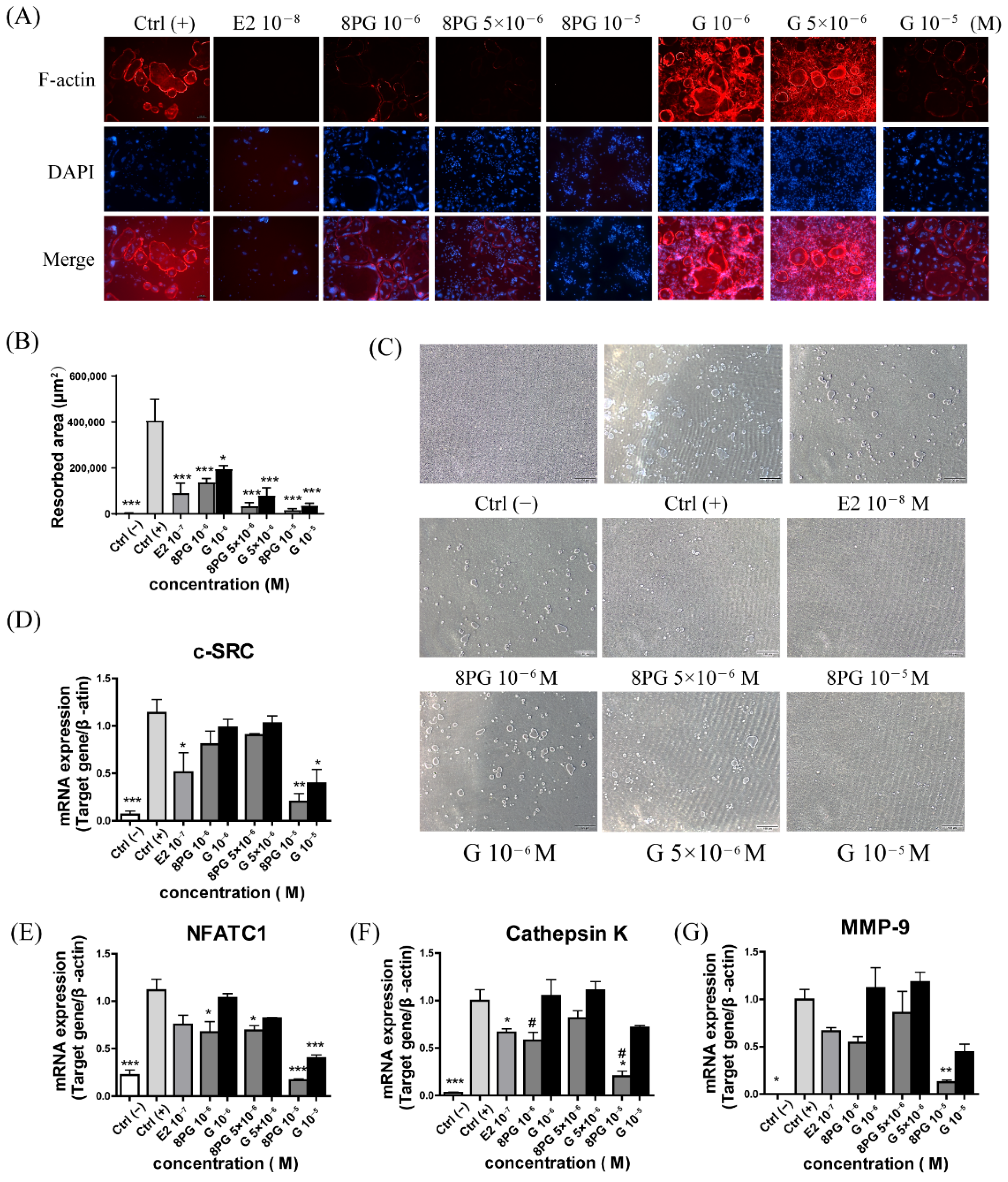 Molecules 27 07811 g005