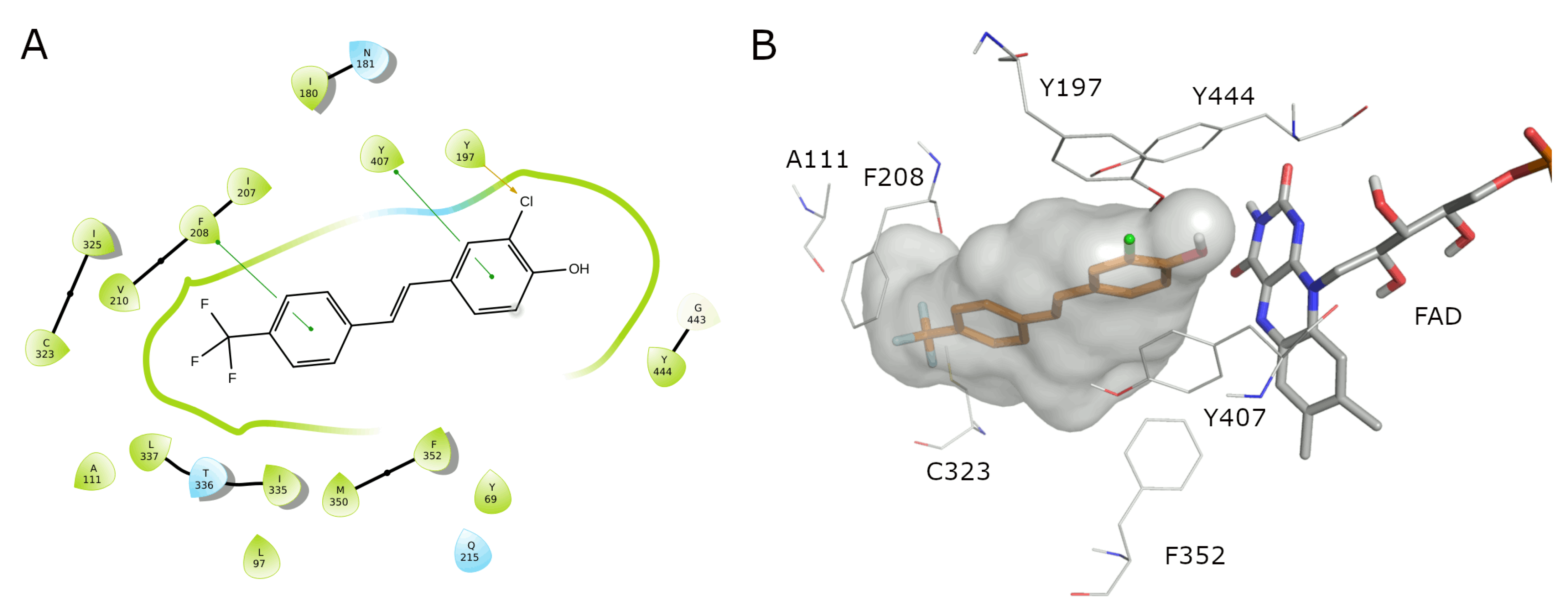 Molecules 27 07816 g003