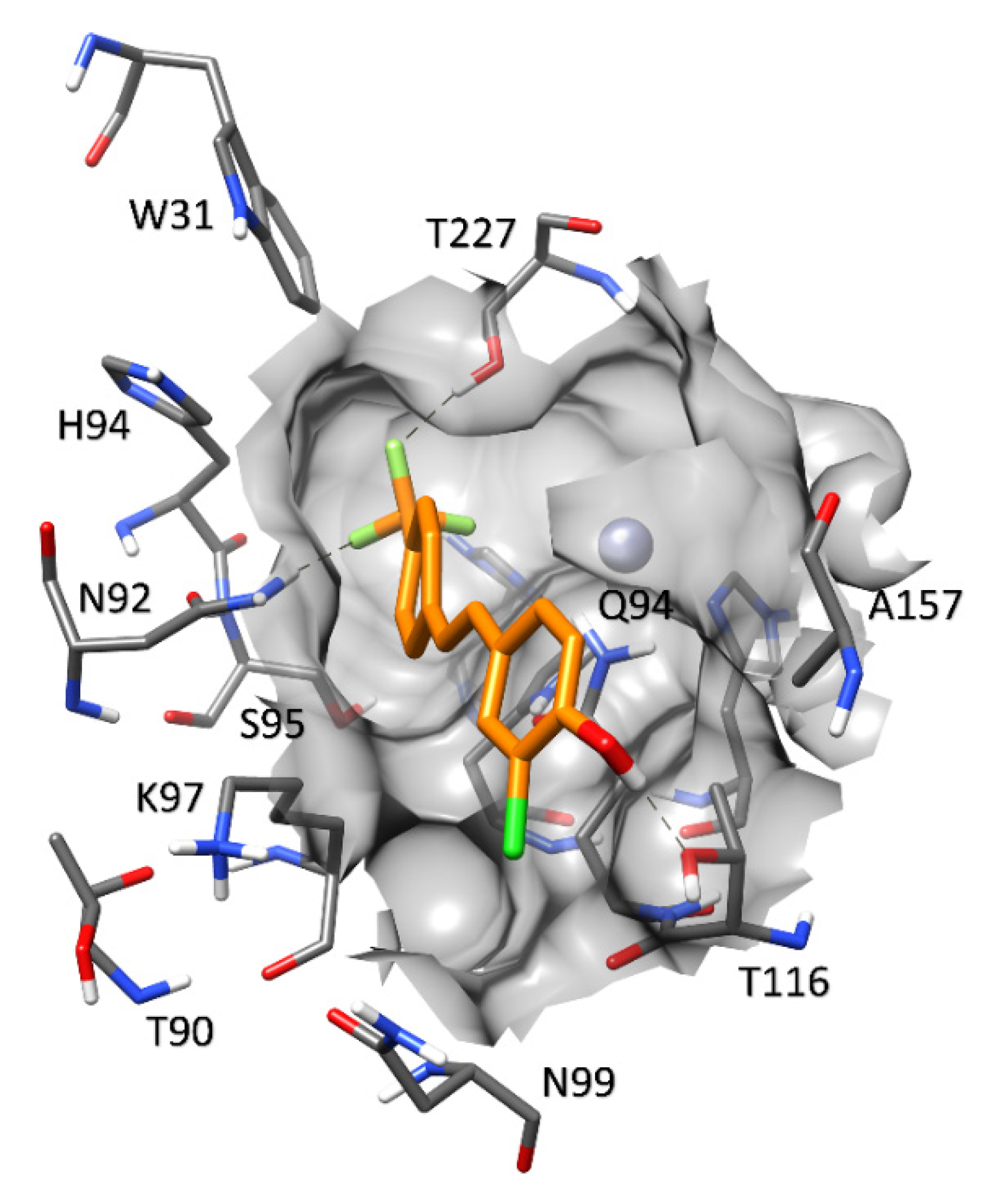 Molecules 27 07816 g007