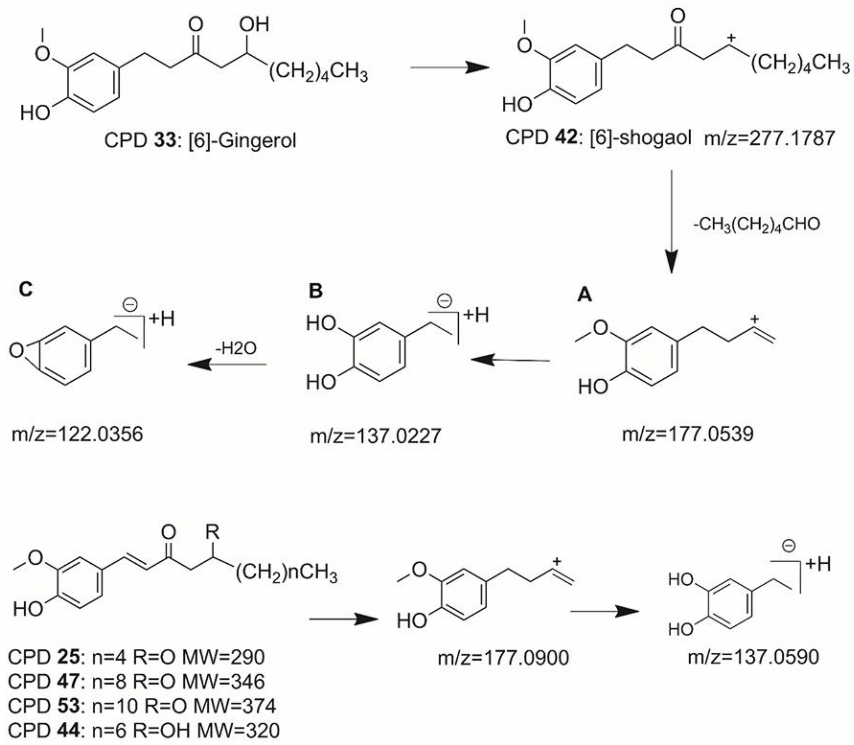 Molecules 27 07818 g004 Molecules 27 07818 g004