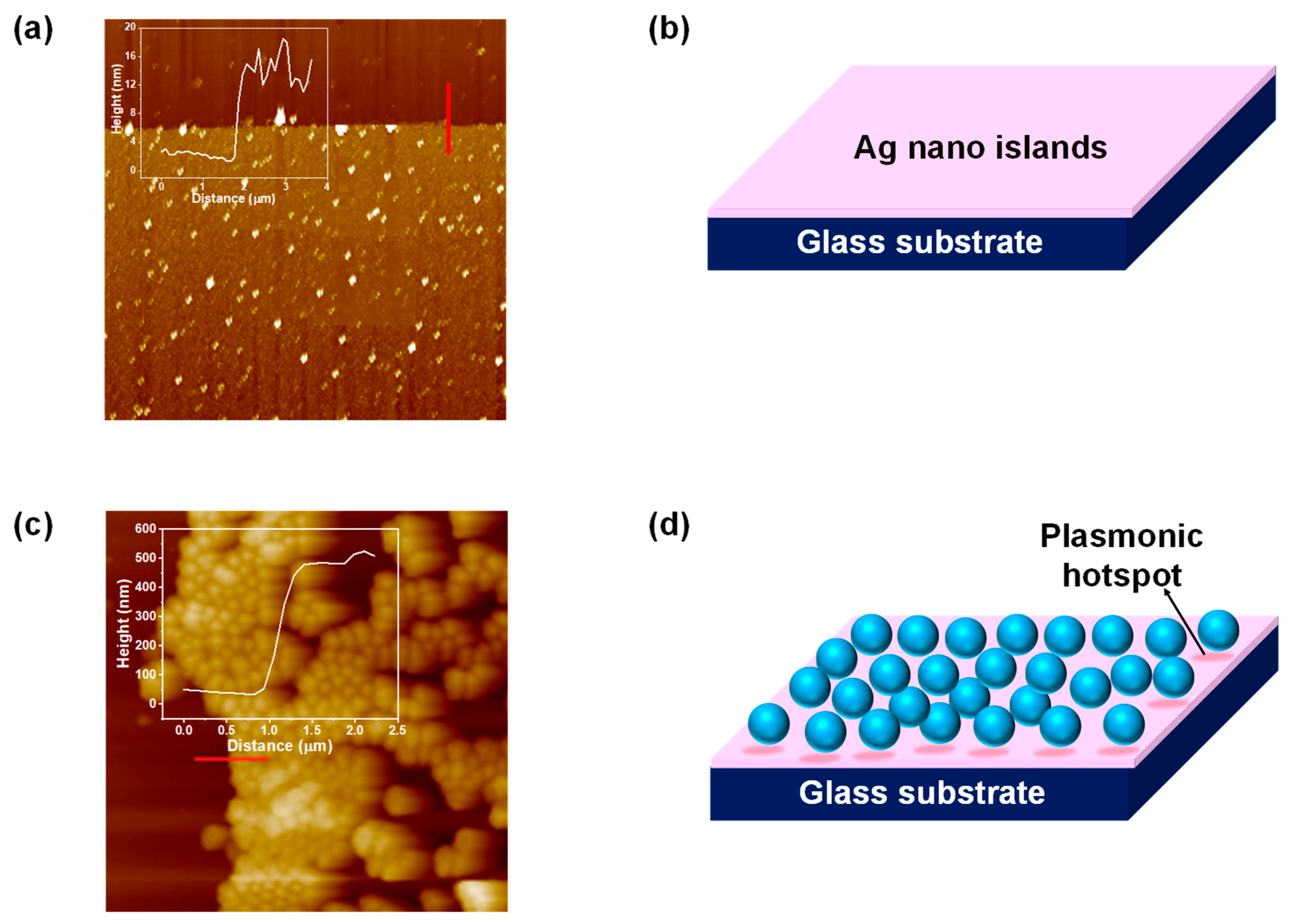 Molecules 27 07821 g003