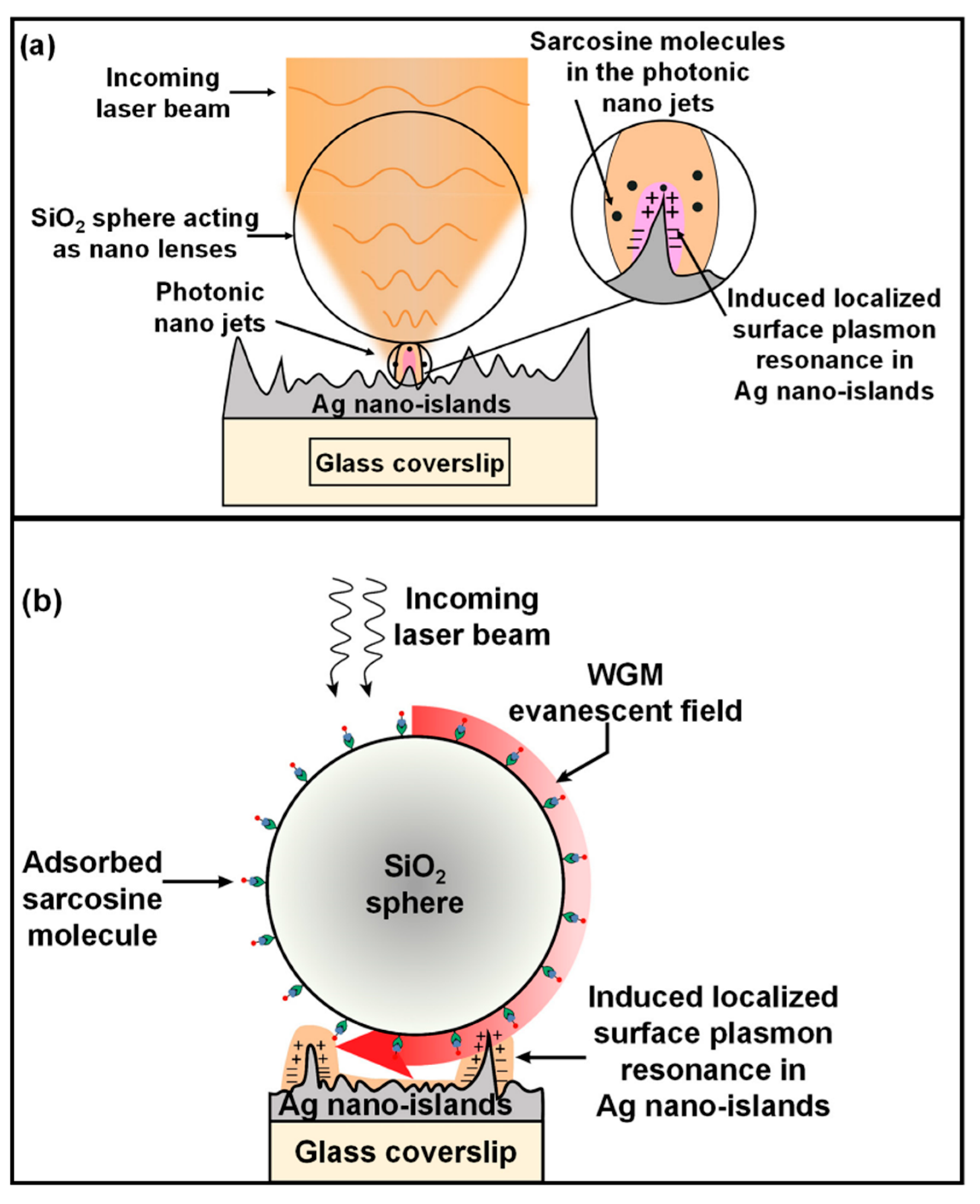 Molecules 27 07821 g006