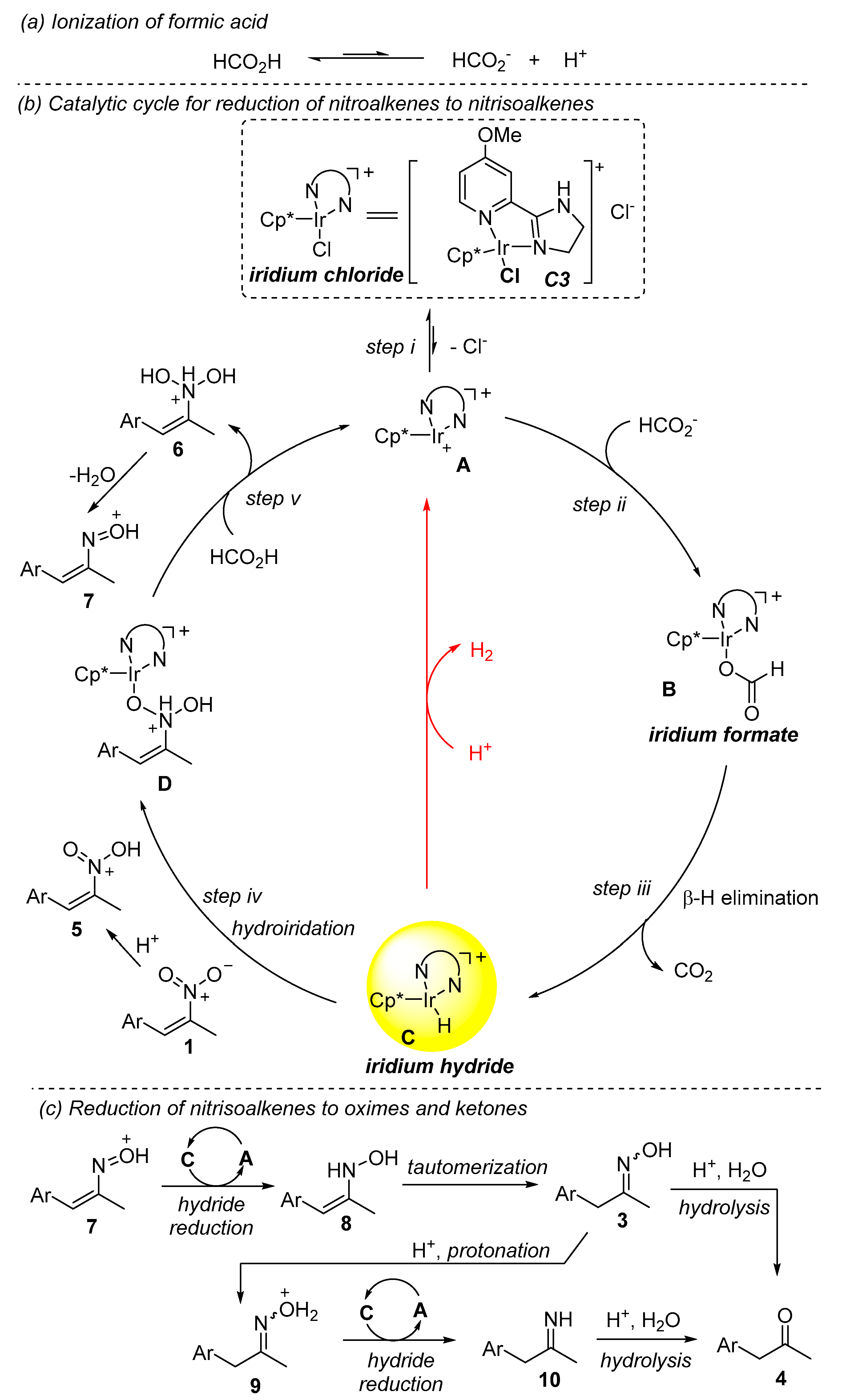 Molecules 27 07822 sch003 Molecules 27 07822 sch003